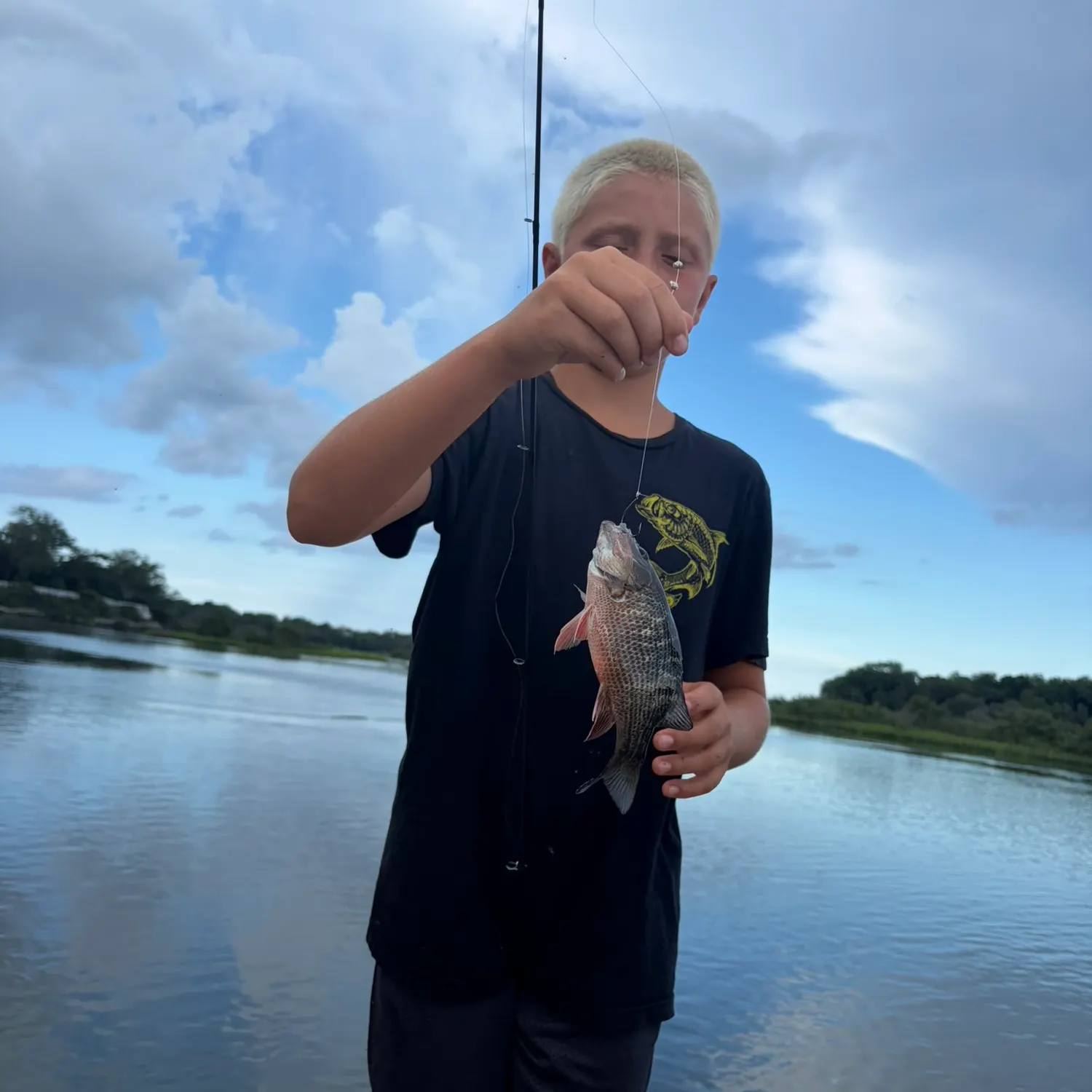 Mangrove snapper caught on Fishbrain