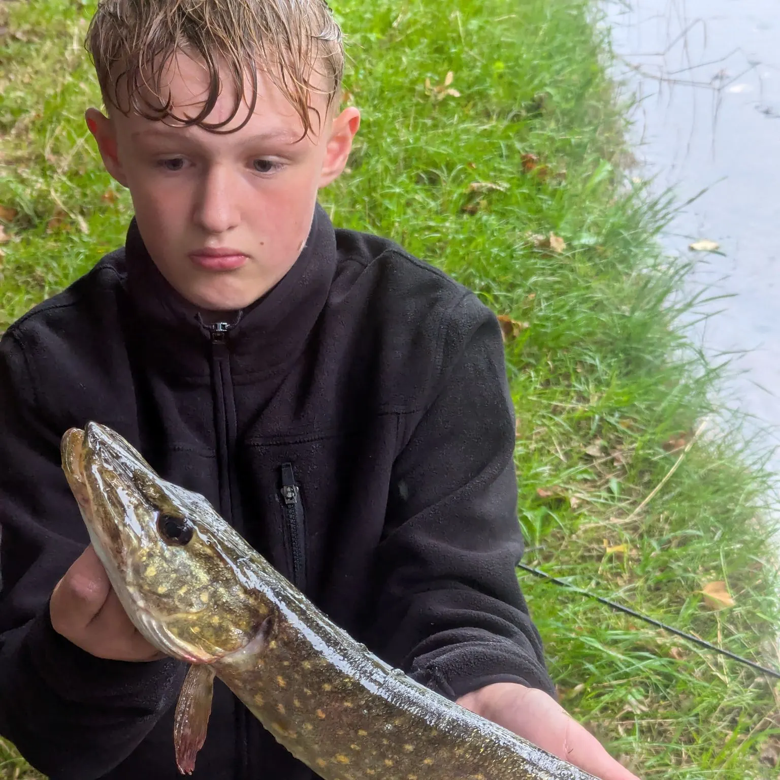 Northern pike caught on Fishbrain