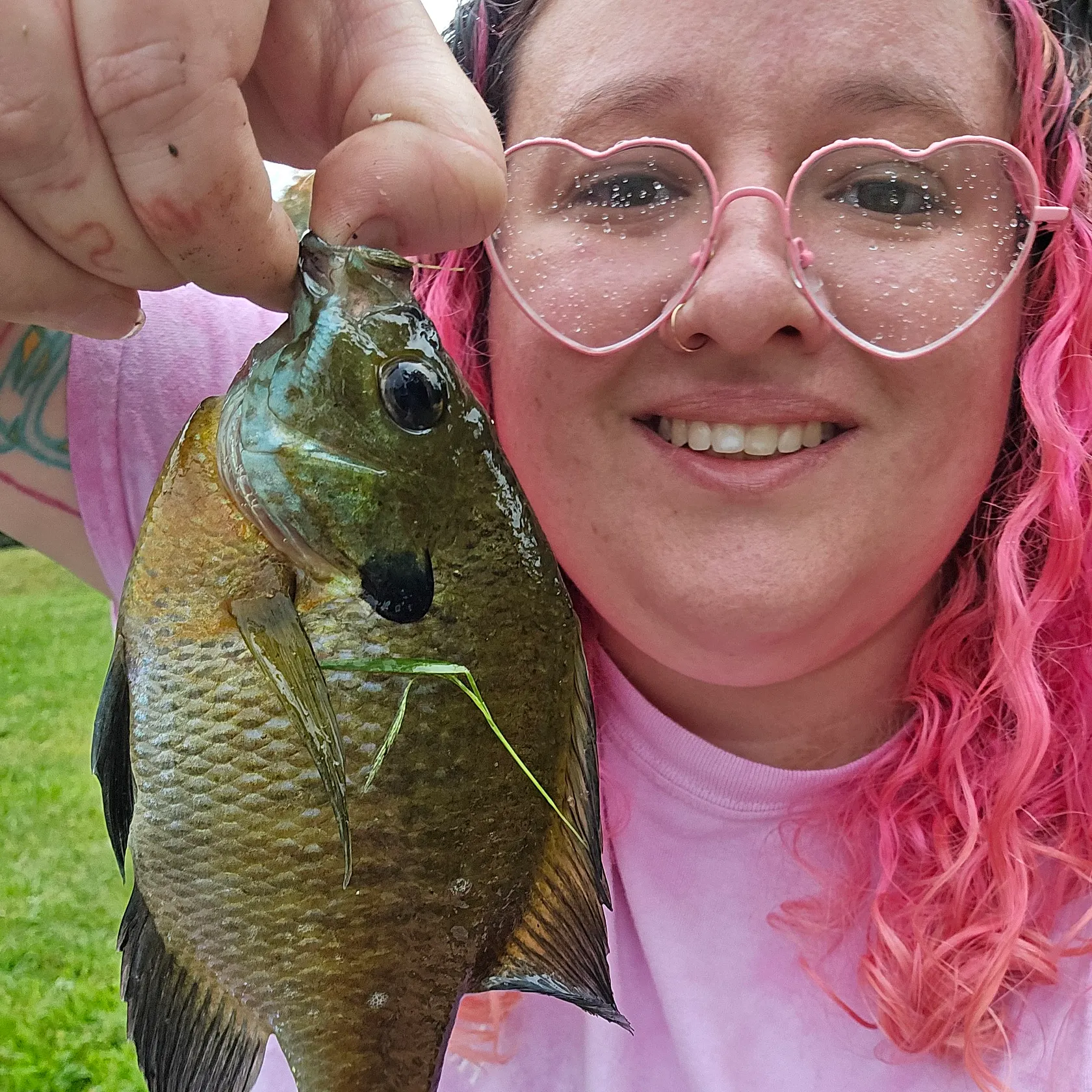 Bluegill caught on Fishbrain