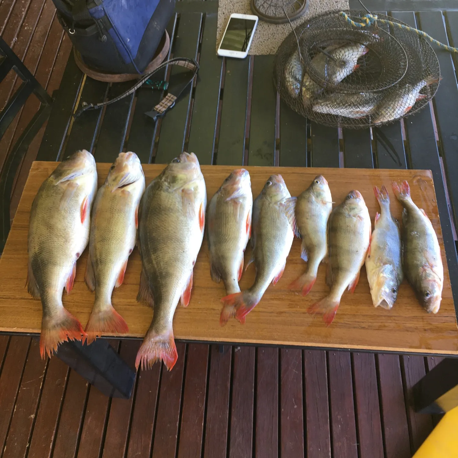 recently logged catches