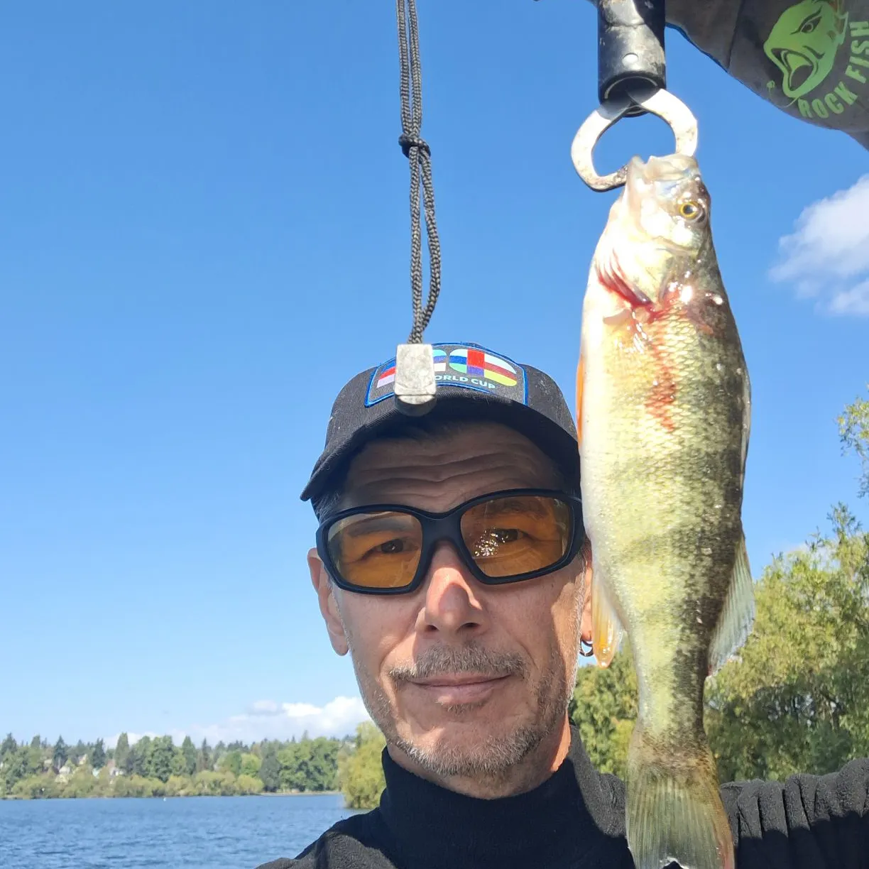 Yellow perch caught on Fishbrain