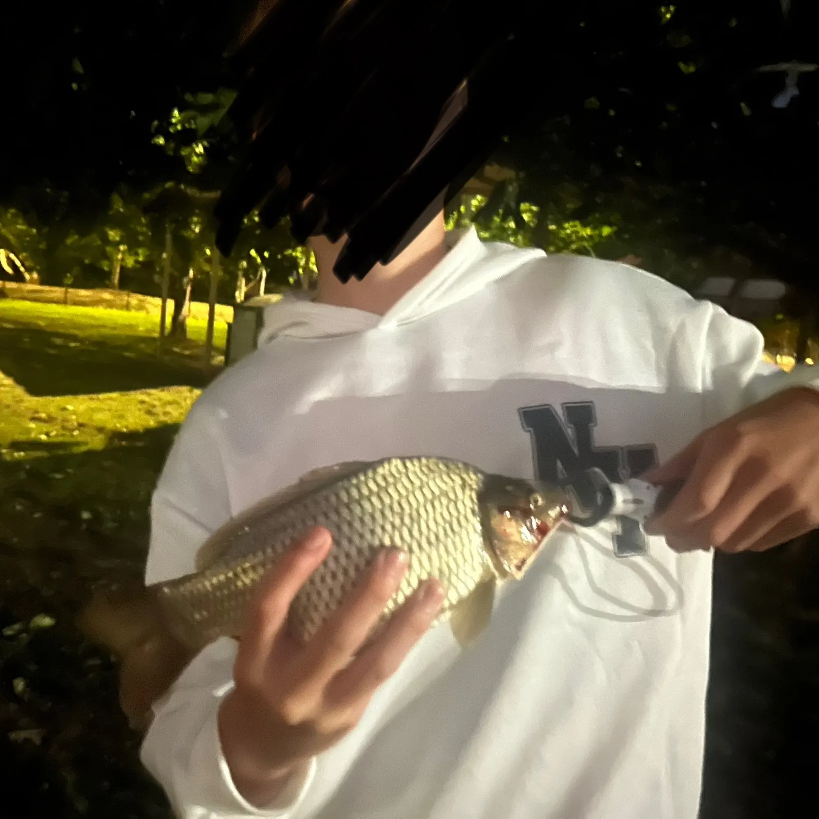 The most recent Common carp catches on Fishbrain