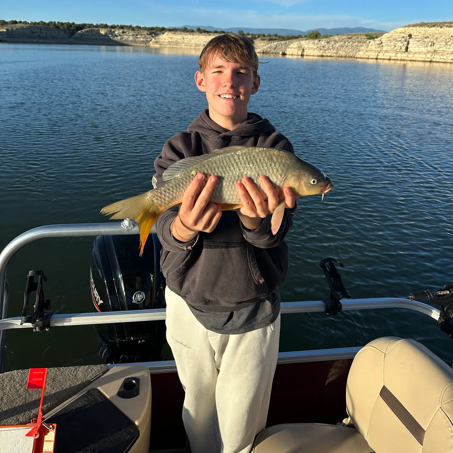 Common carp caught on Fishbrain