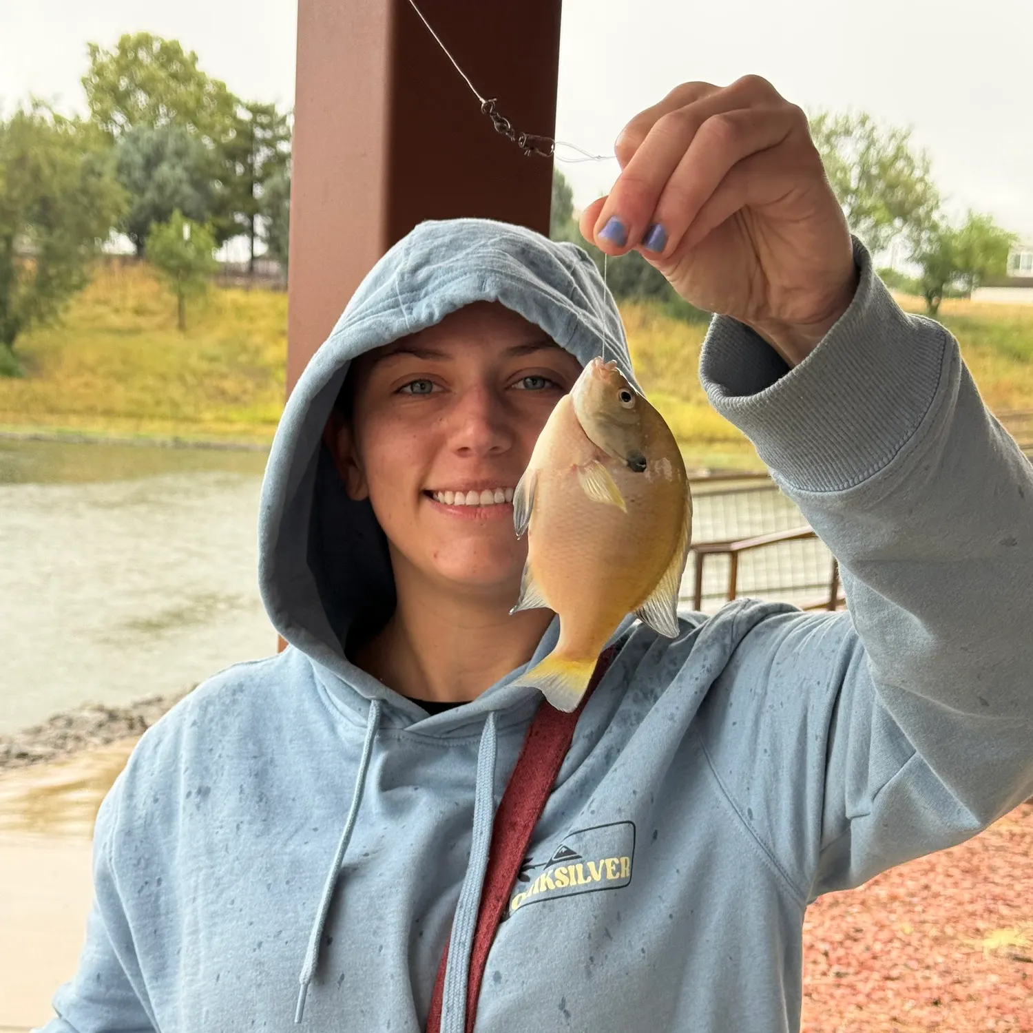 Bluegill caught on Fishbrain