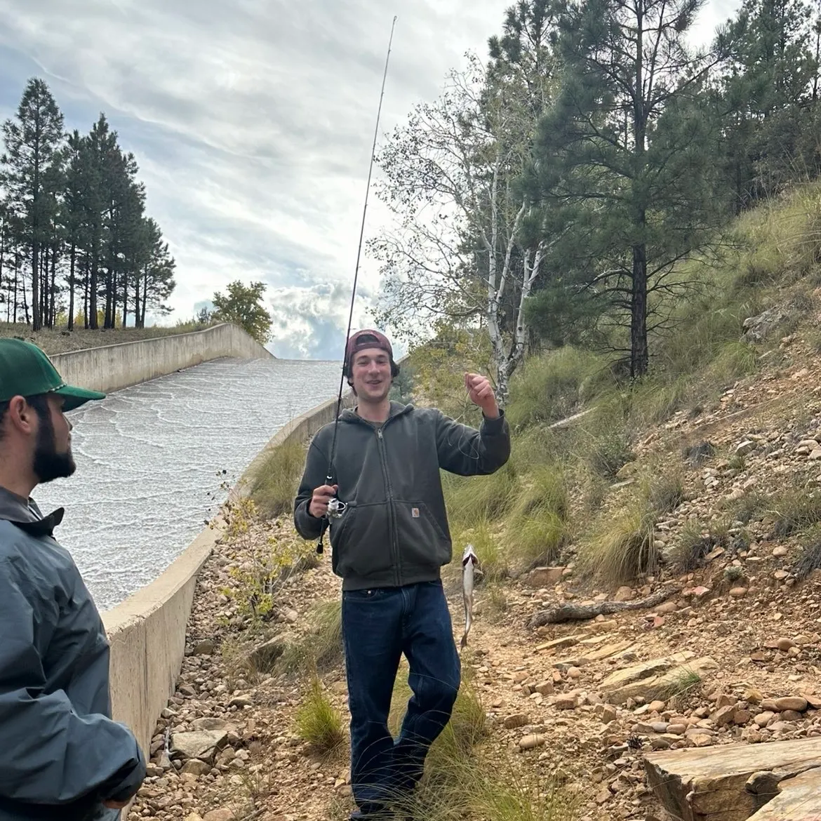 Rainbow trout caught on Fishbrain