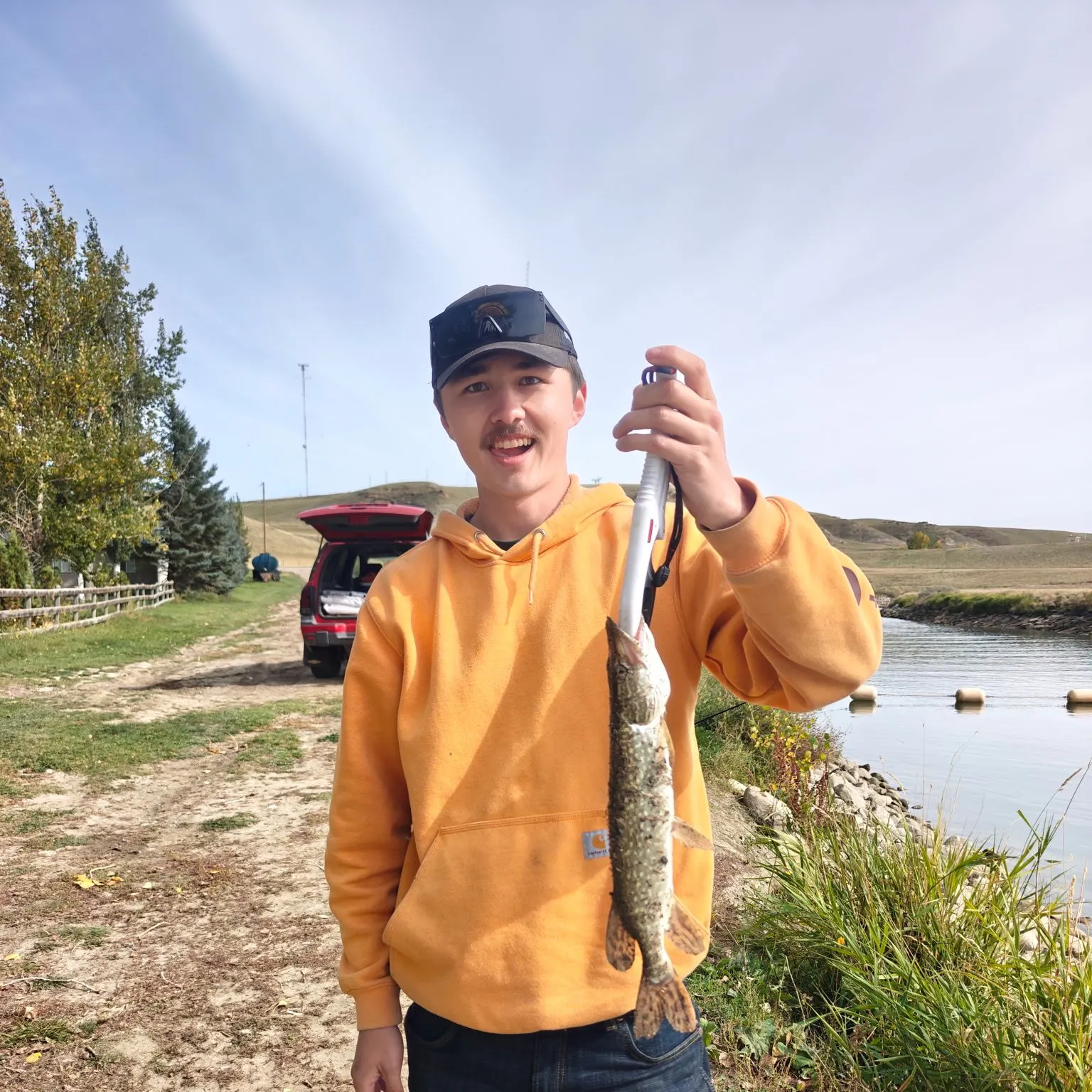 Northern pike caught on Fishbrain