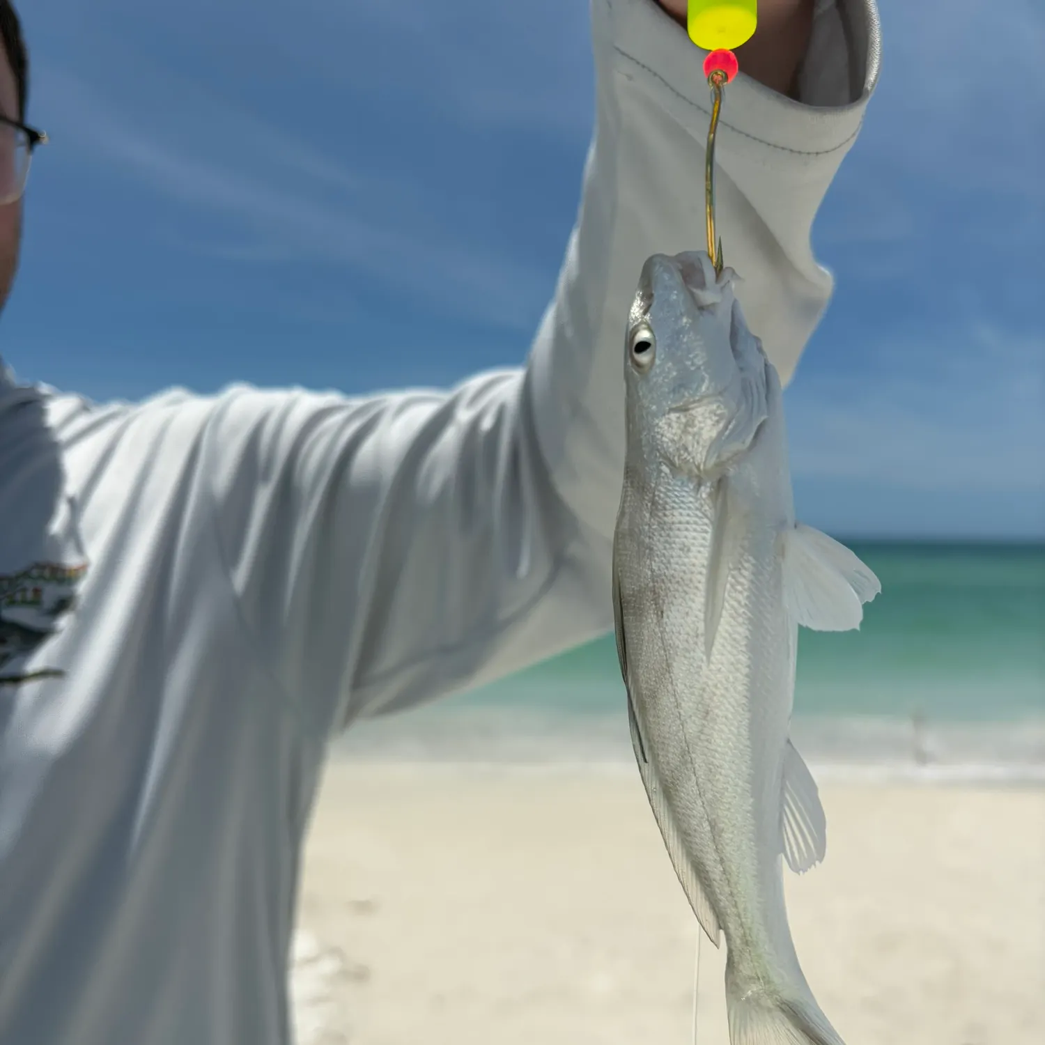 The most recent Gulf kingcroaker catches on Fishbrain