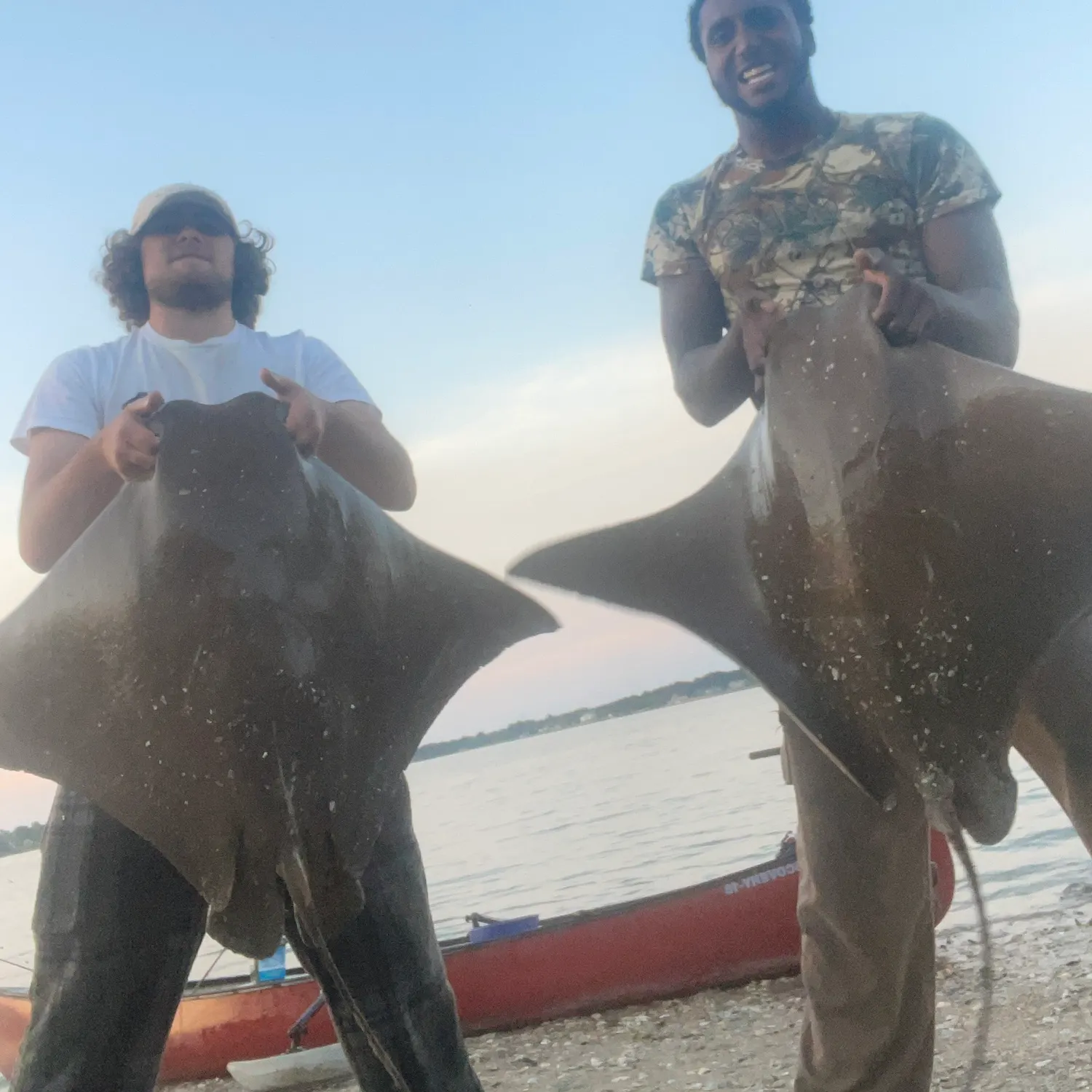 The most recent Cownose Ray catches on Fishbrain