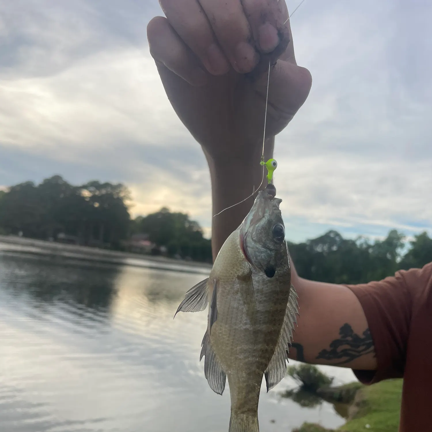 catch