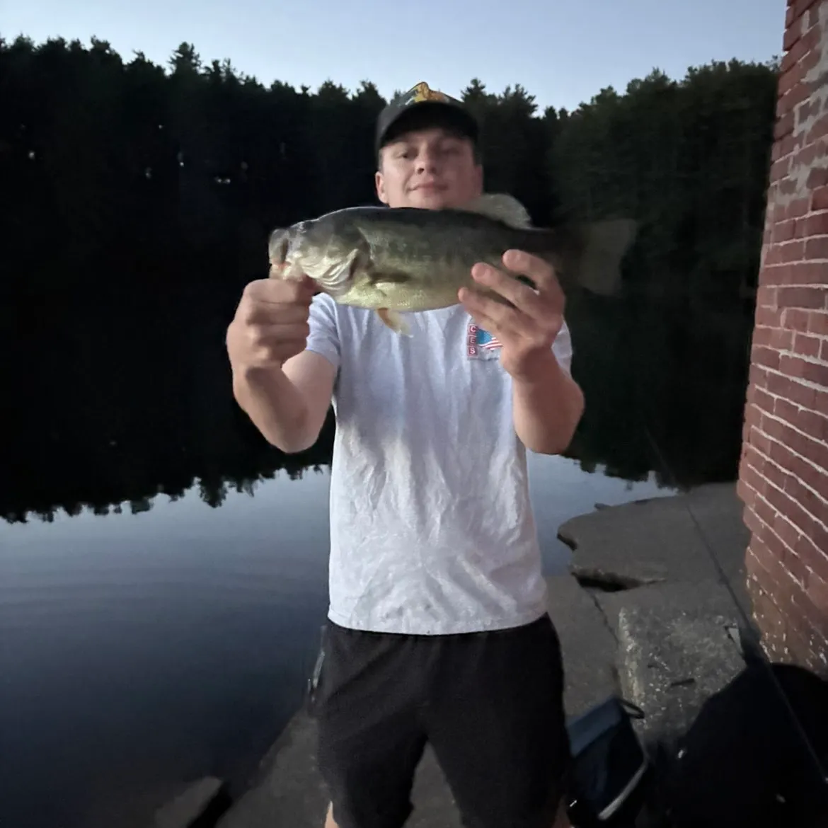 Largemouth bass caught on Fishbrain