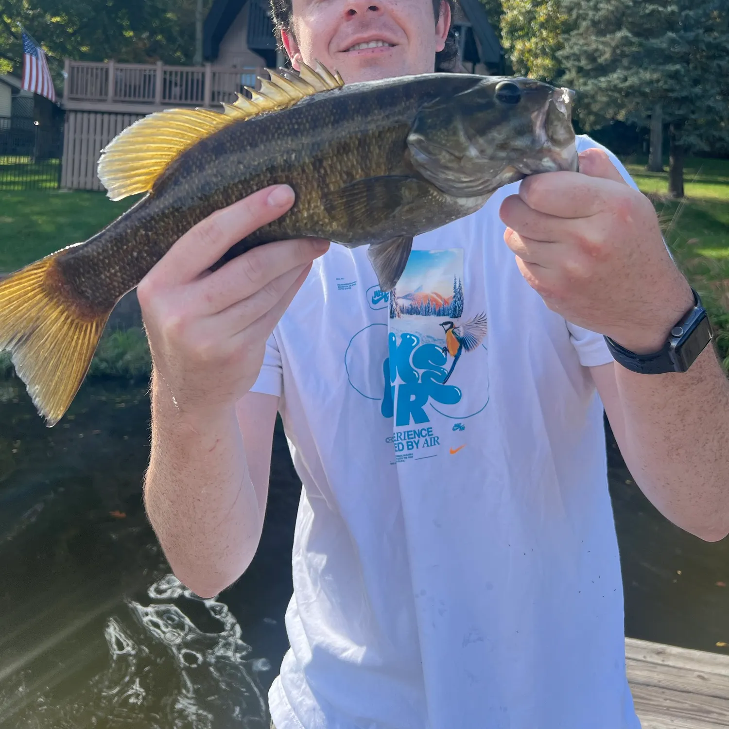 Smallmouth bass caught on Fishbrain