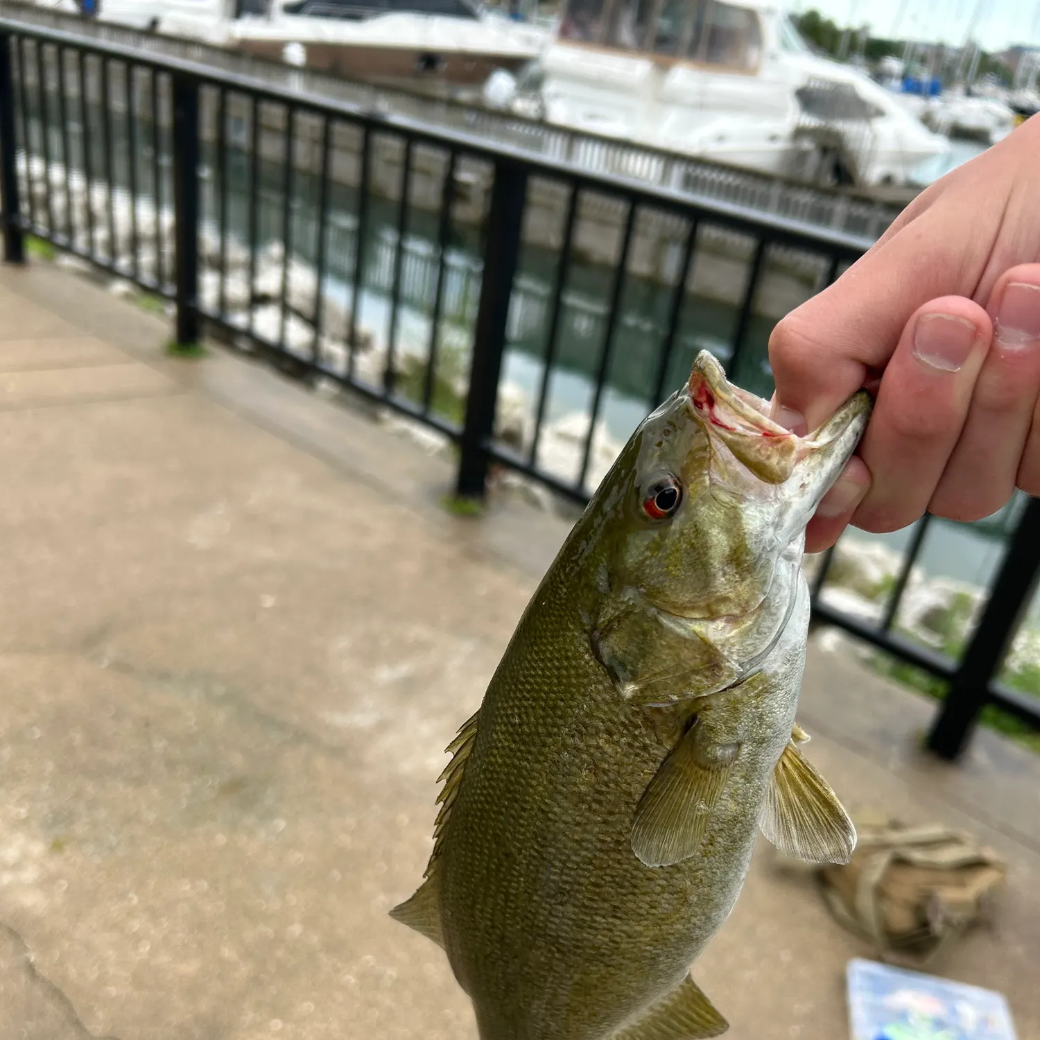 catch