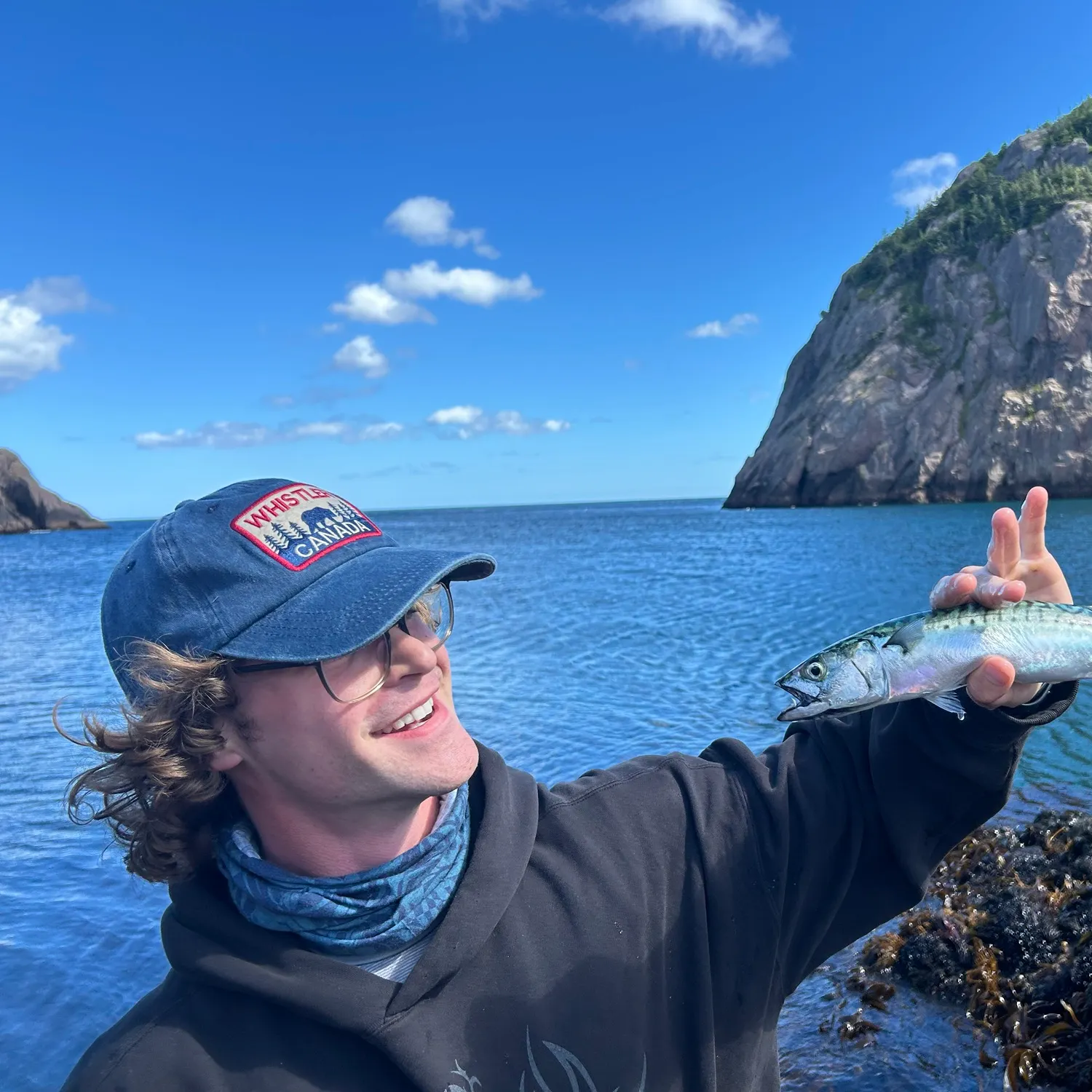 Atlantic mackerel caught on Fishbrain