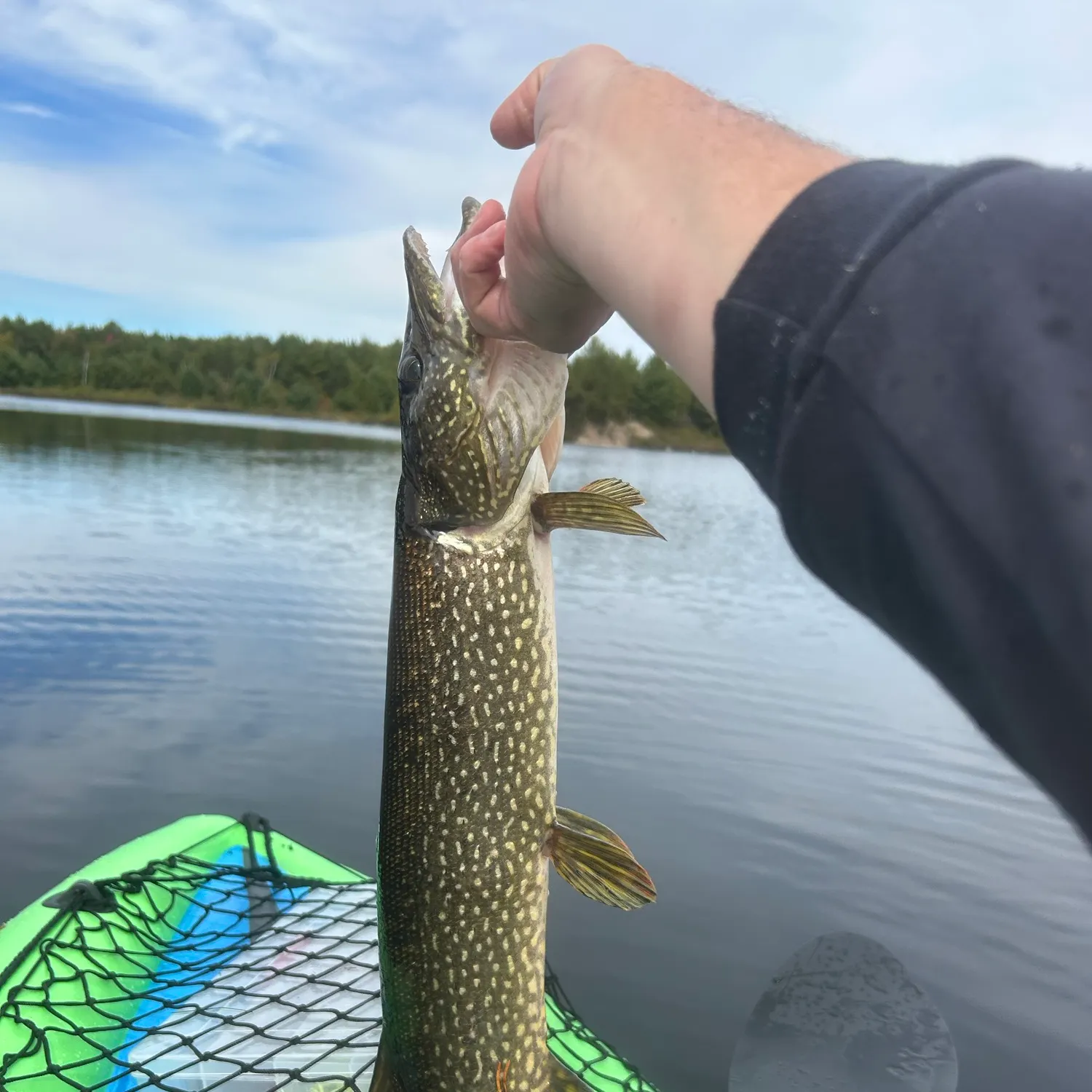 Northern pike caught on Fishbrain
