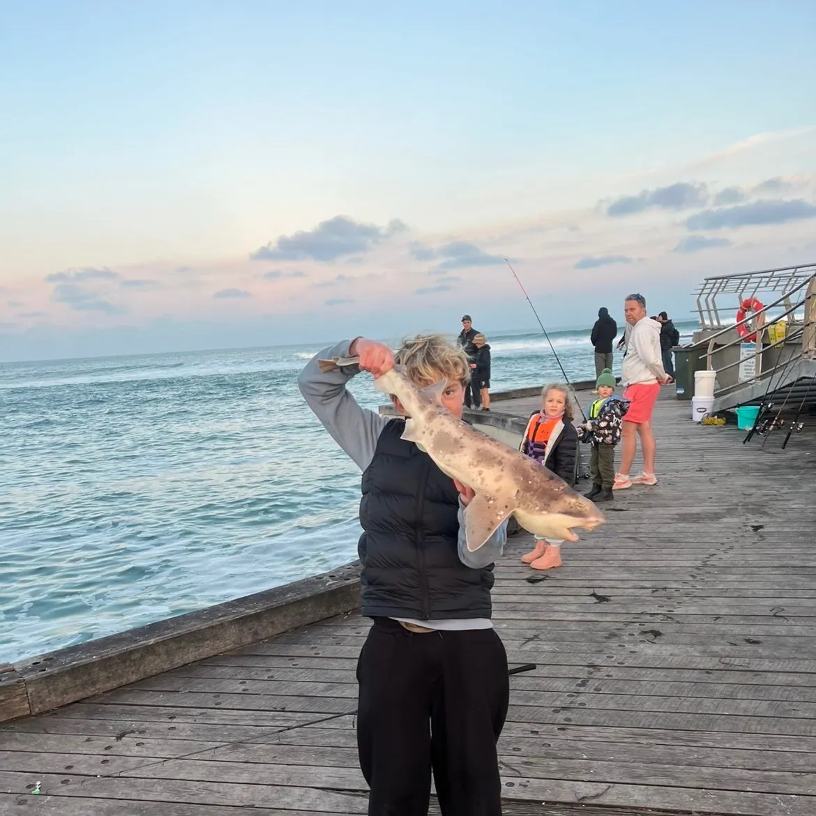 The most recent Swellshark catches on Fishbrain