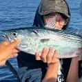 Yellowfin tuna caught on Fishbrain