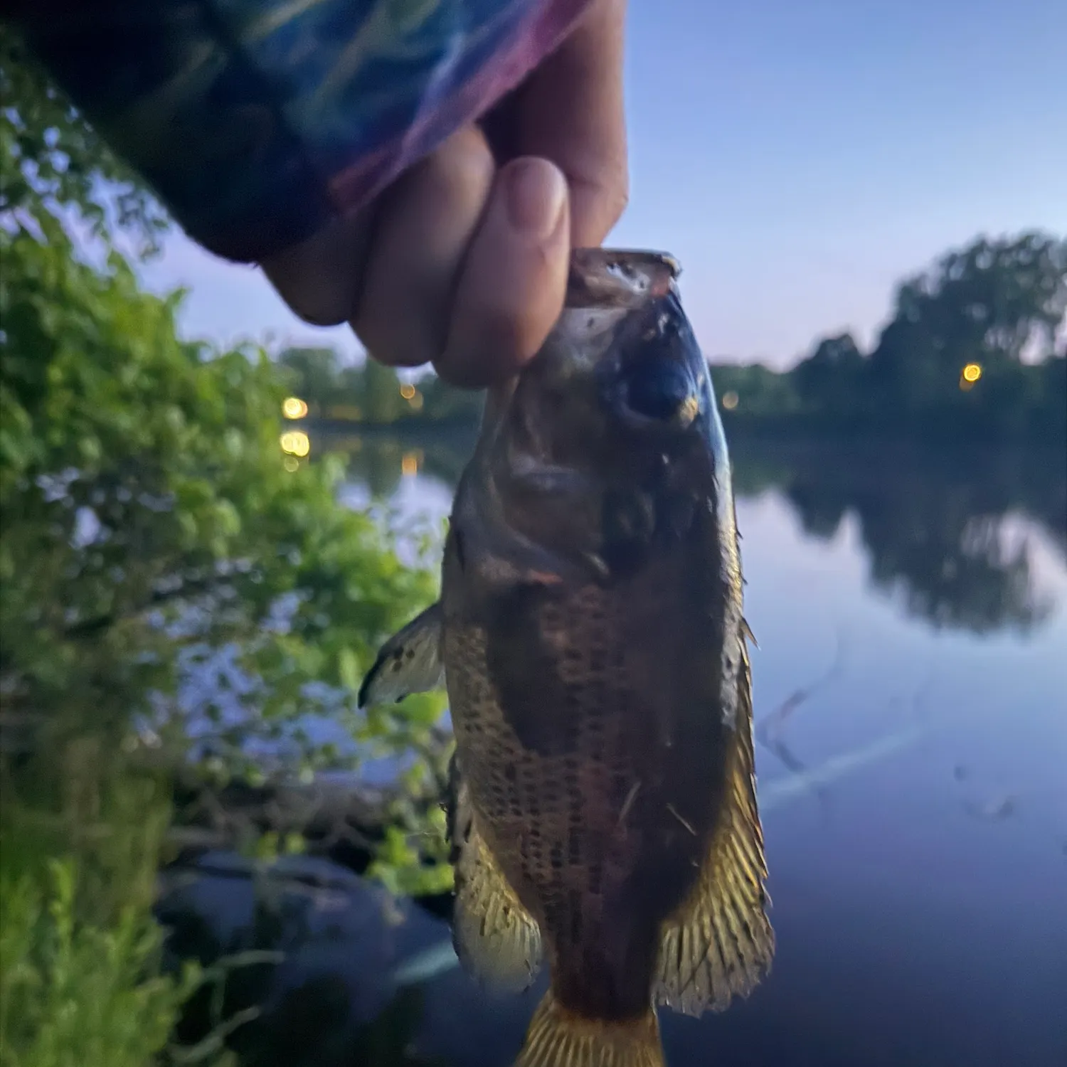 catch