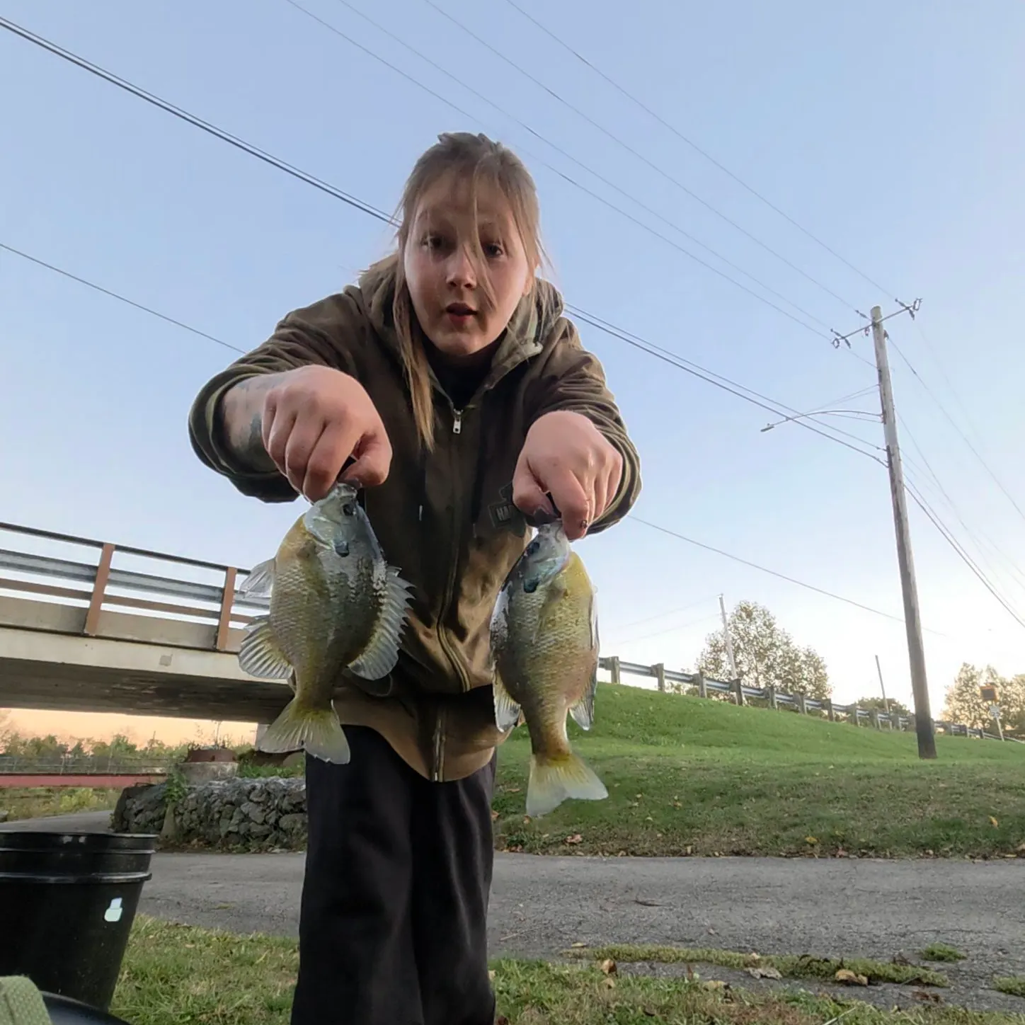 Bluegill caught on Fishbrain