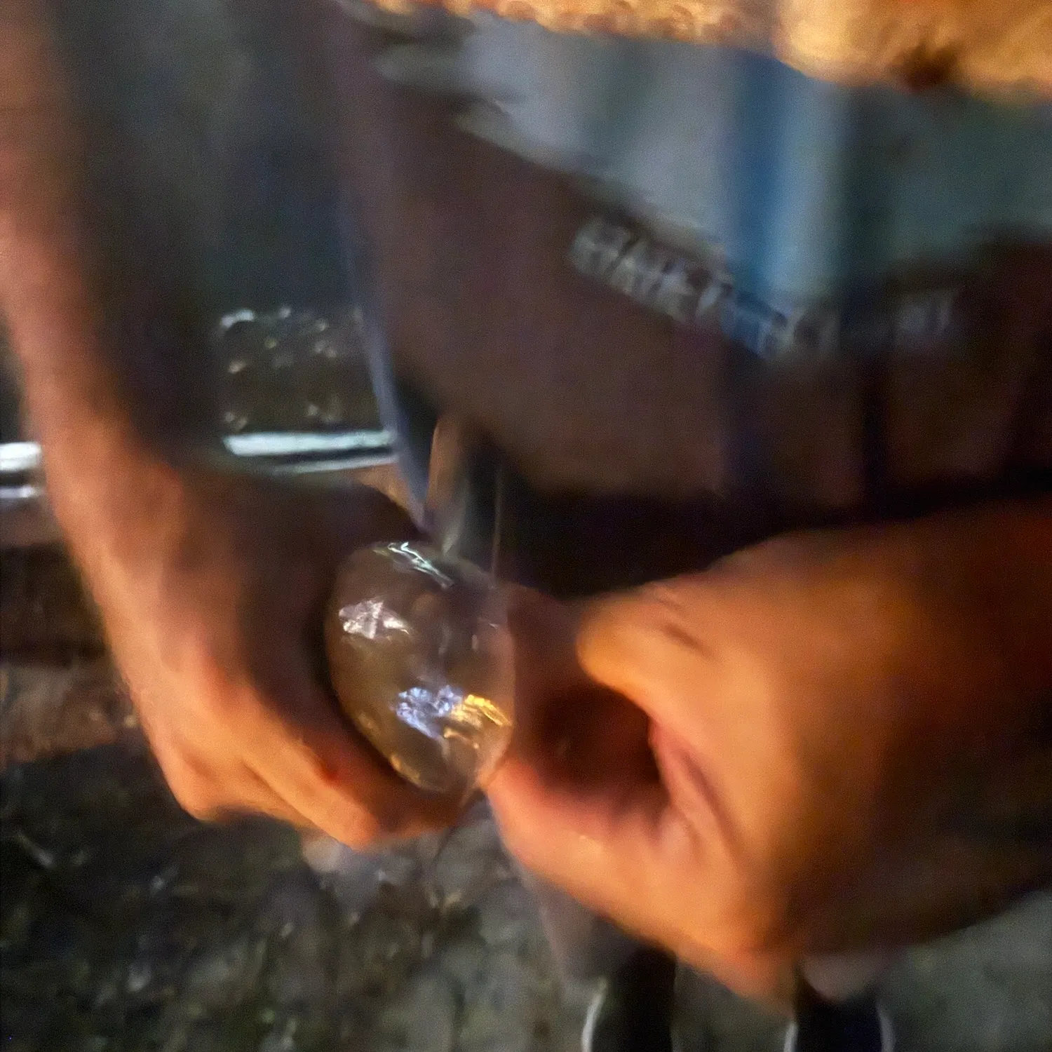 Channel catfish caught on Fishbrain