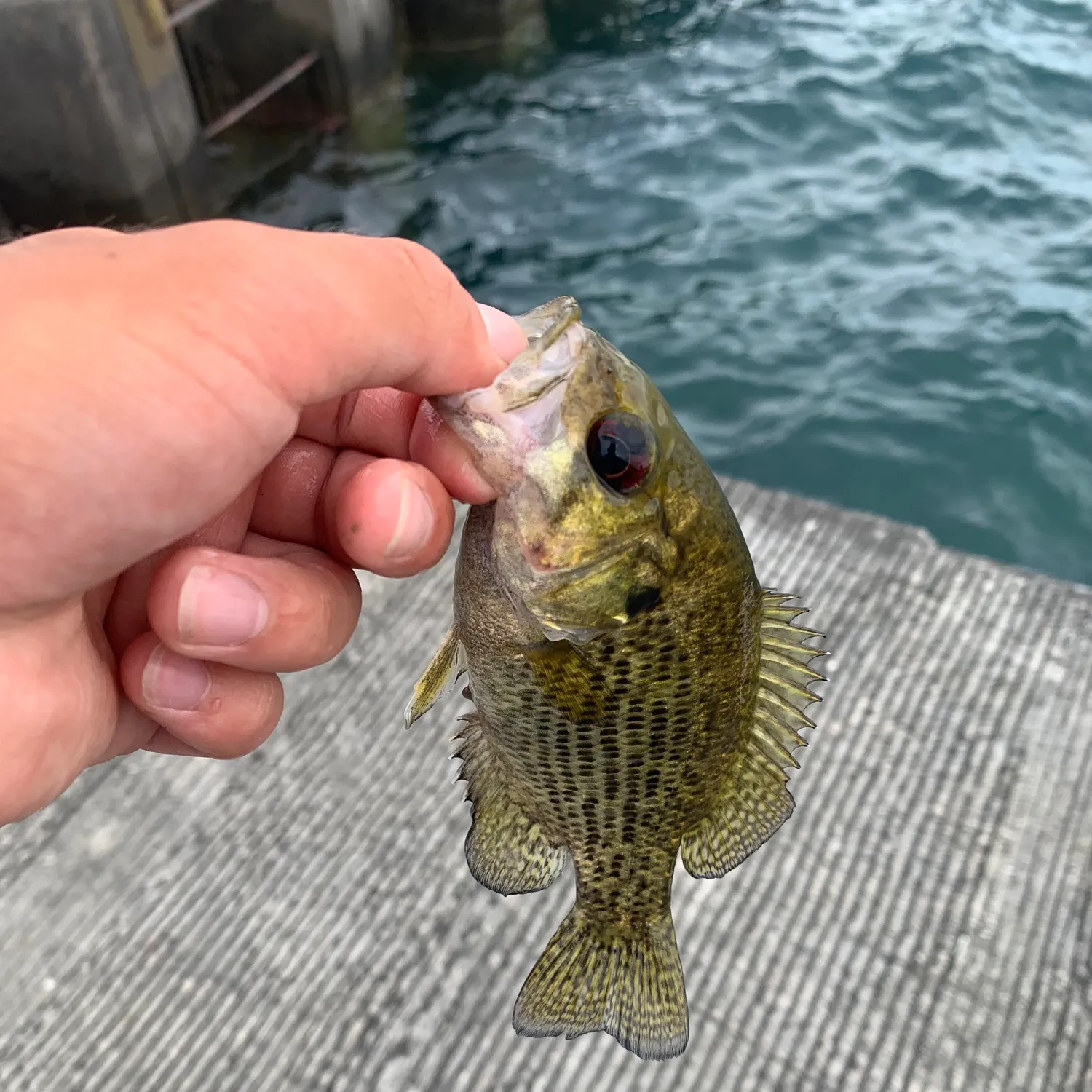 catch