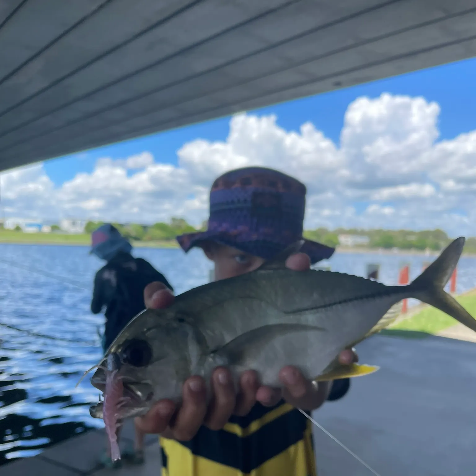 The most recent Bigeye trevally catches on Fishbrain