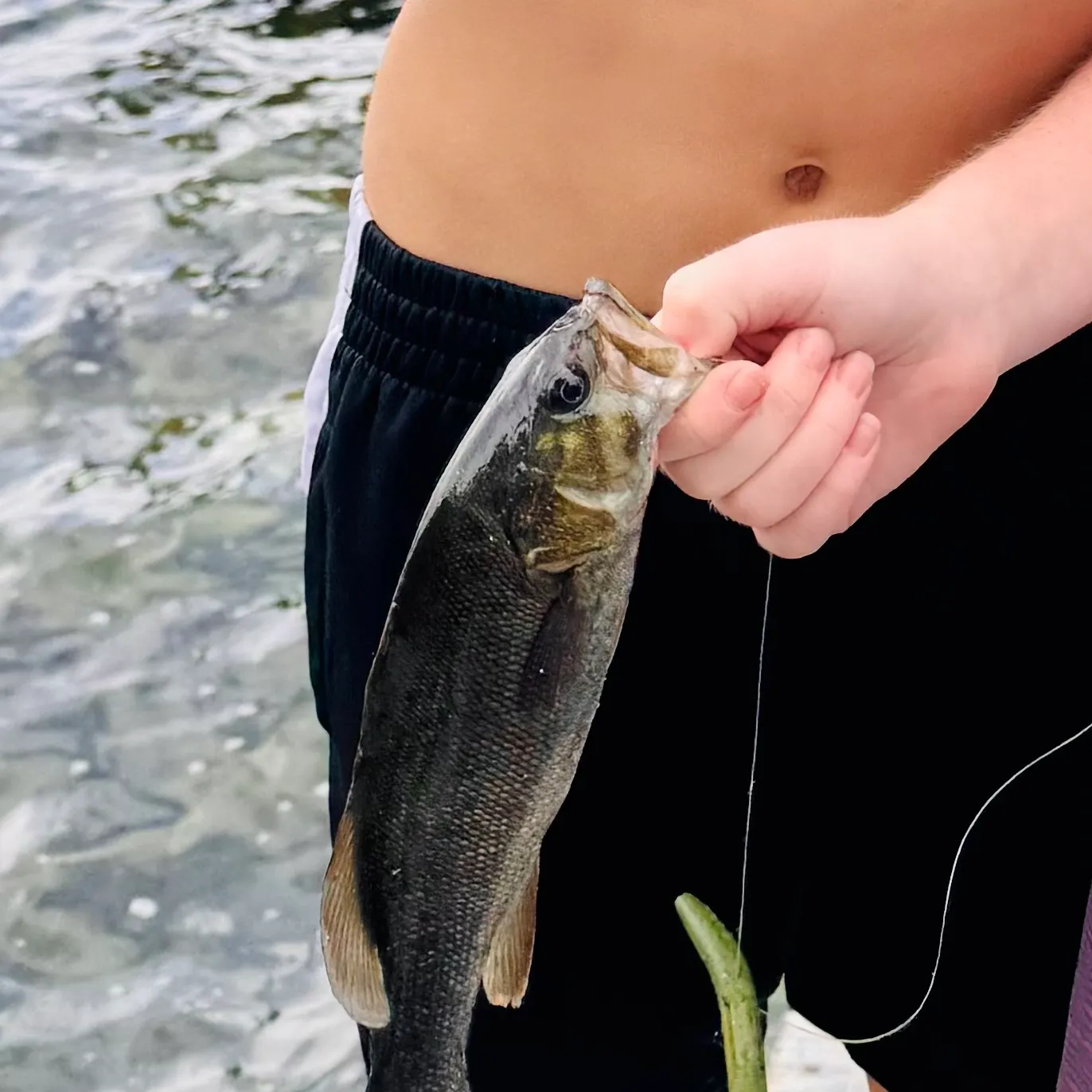 Smallmouth bass caught on Fishbrain