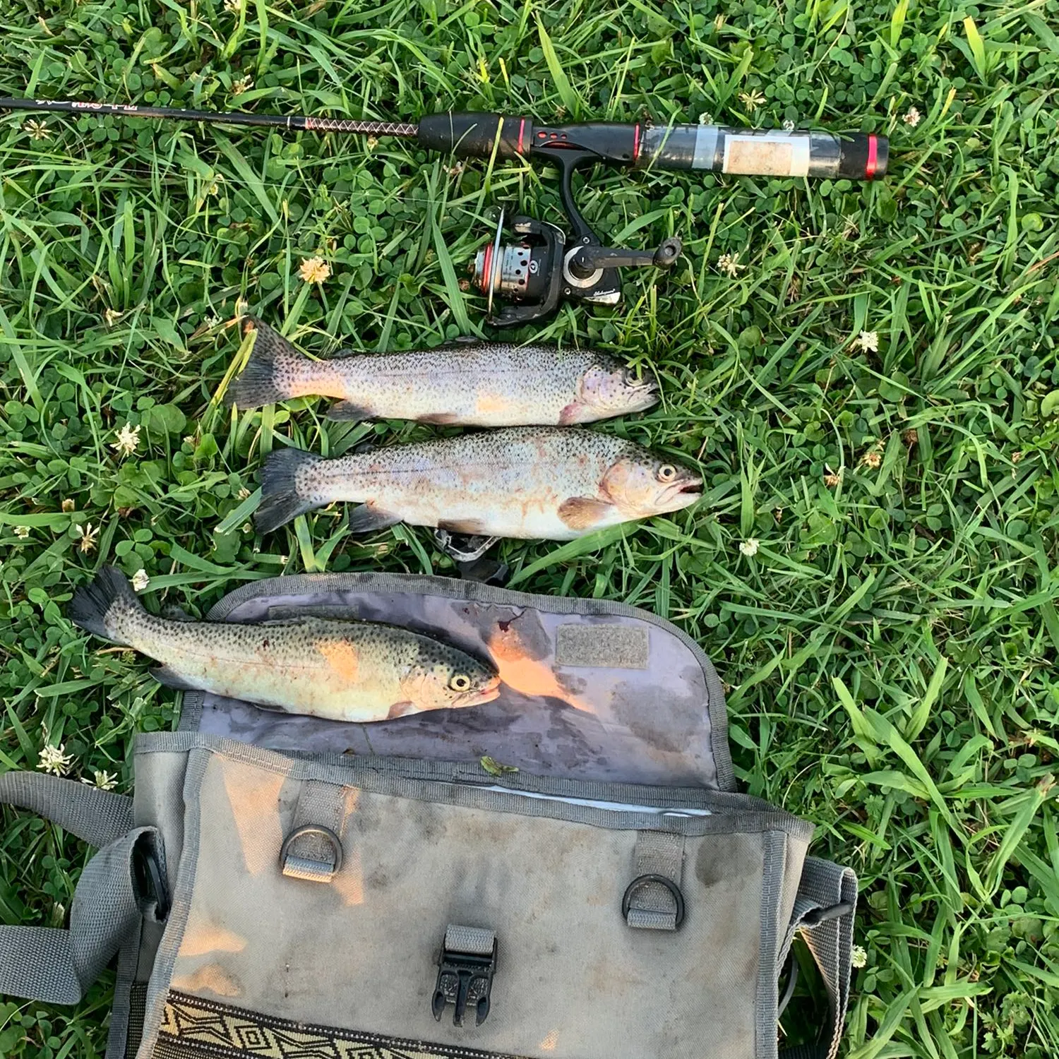 recently logged catches