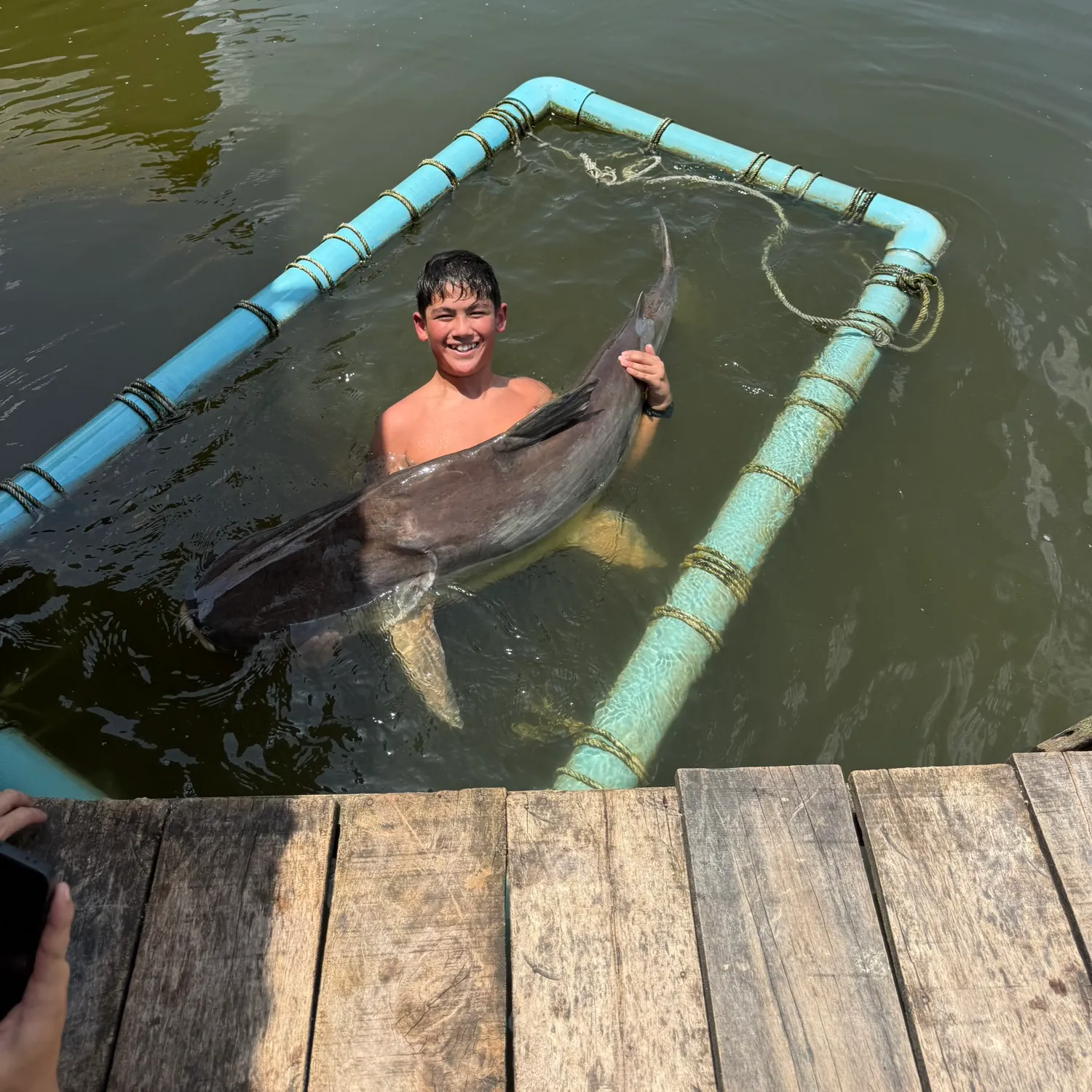 The most recent Mekong giant catfish catches on Fishbrain