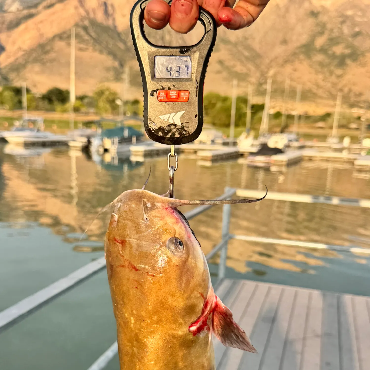 catch