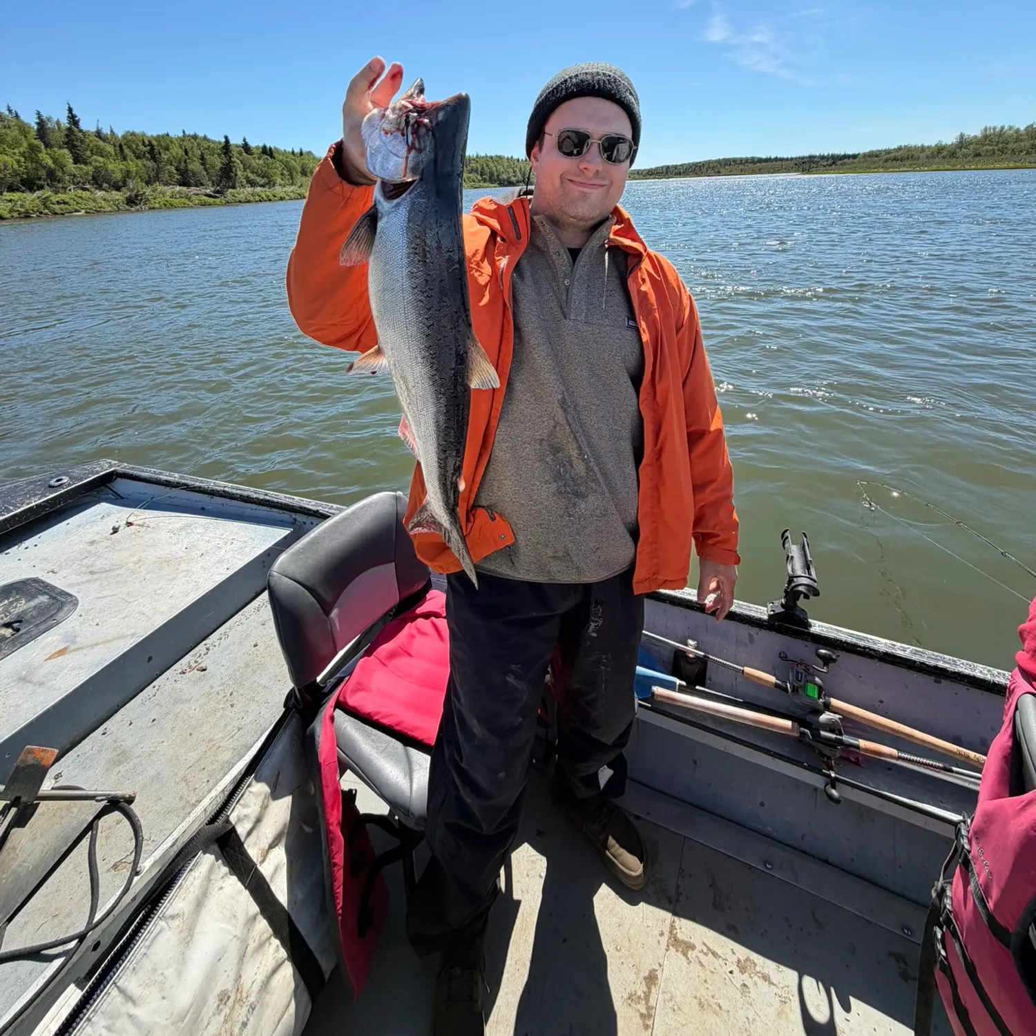 Chinook salmon caught on Fishbrain