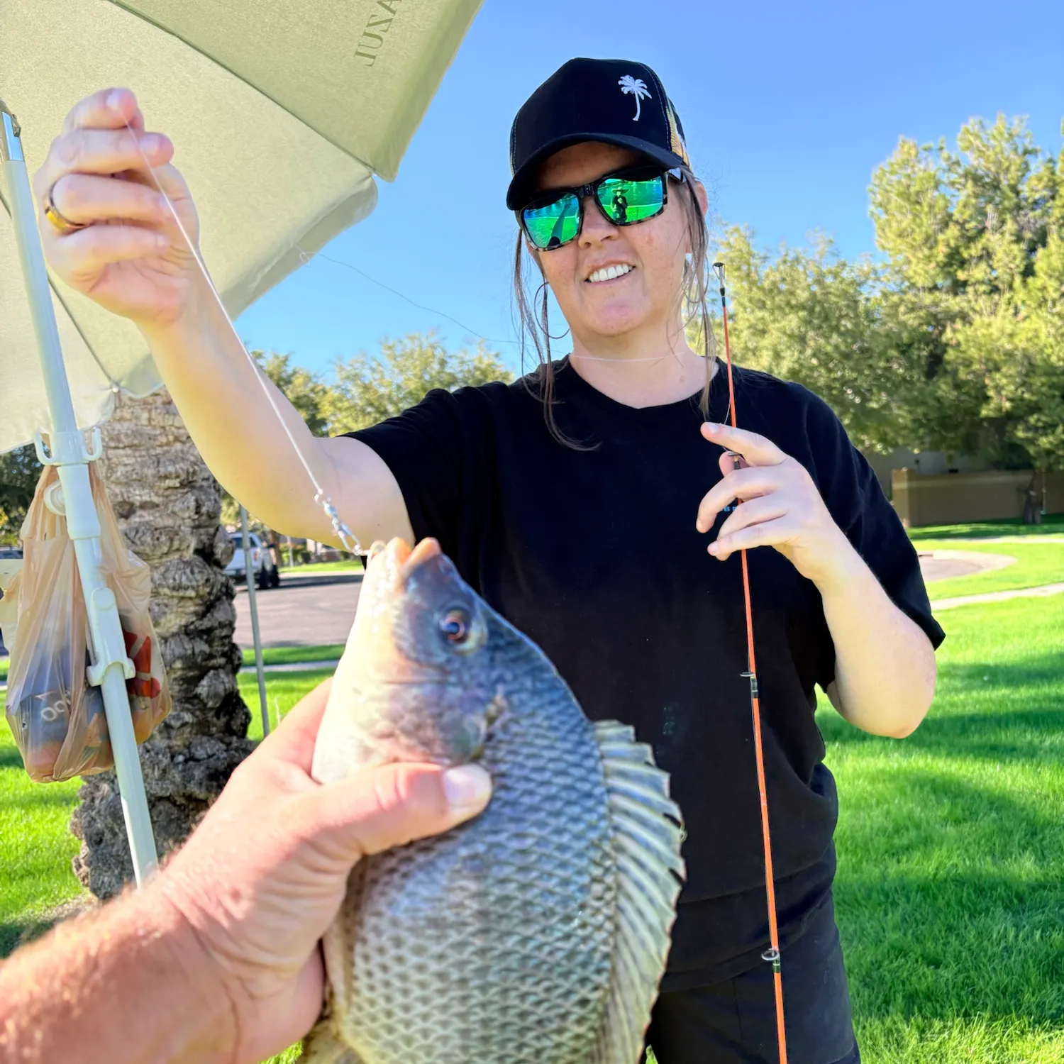 Nile tilapia caught on Fishbrain