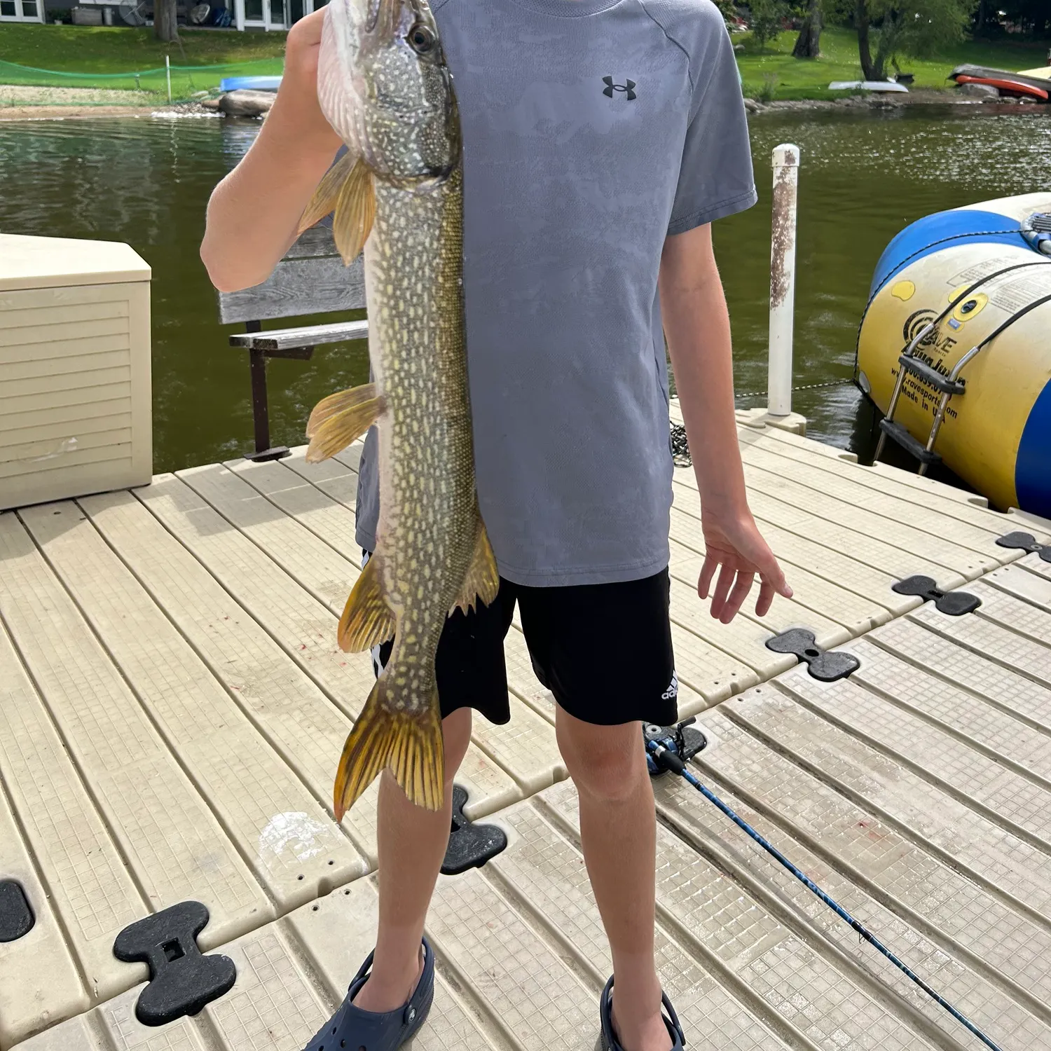 Northern pike caught on Fishbrain