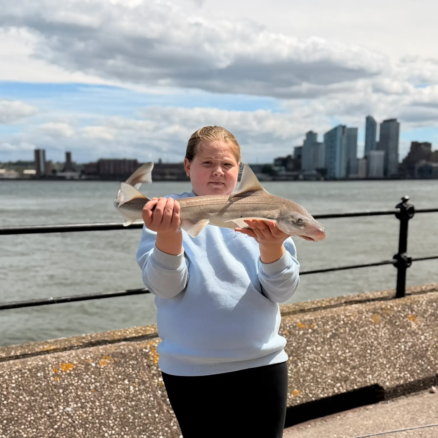 Starry smooth-hound caught on Fishbrain
