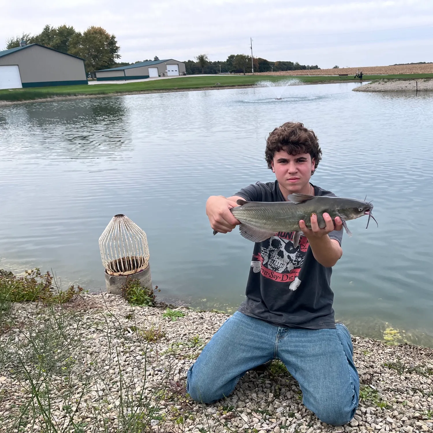 Channel catfish caught on Fishbrain