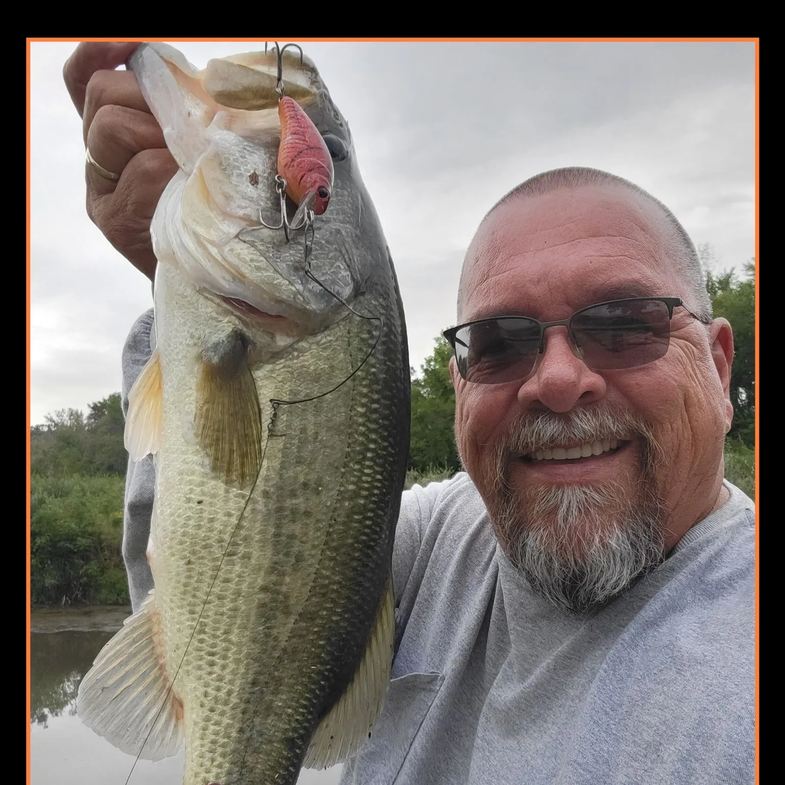 Largemouth bass caught on Fishbrain