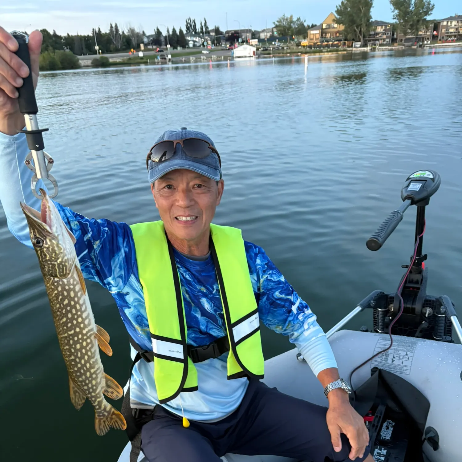 Northern pike caught on Fishbrain