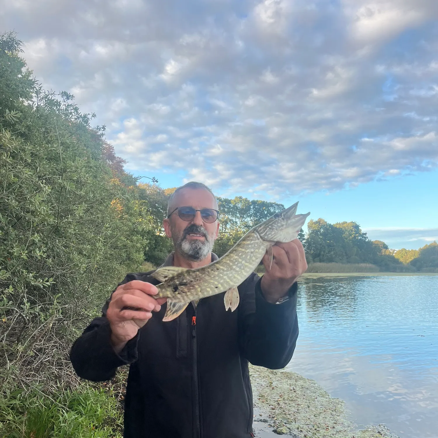 Northern pike caught on Fishbrain