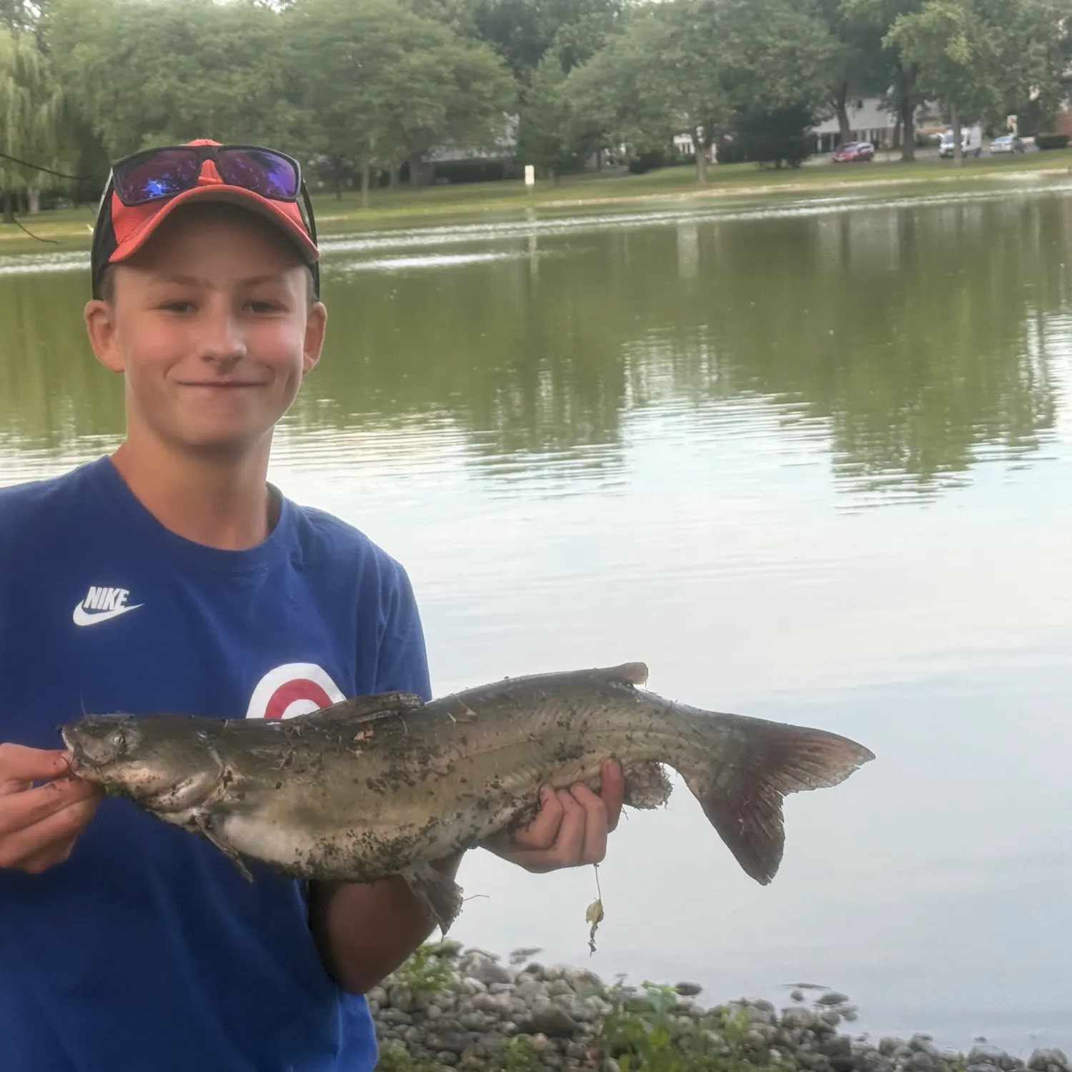 Channel catfish caught on Fishbrain