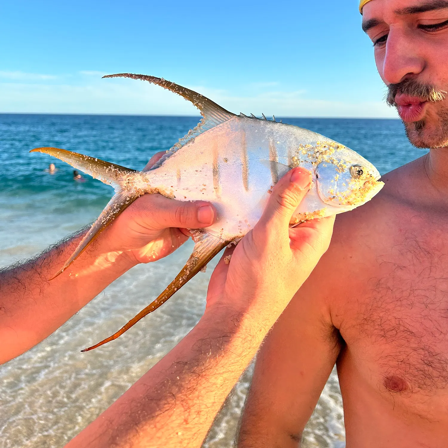 The most recent Palometa catches on Fishbrain