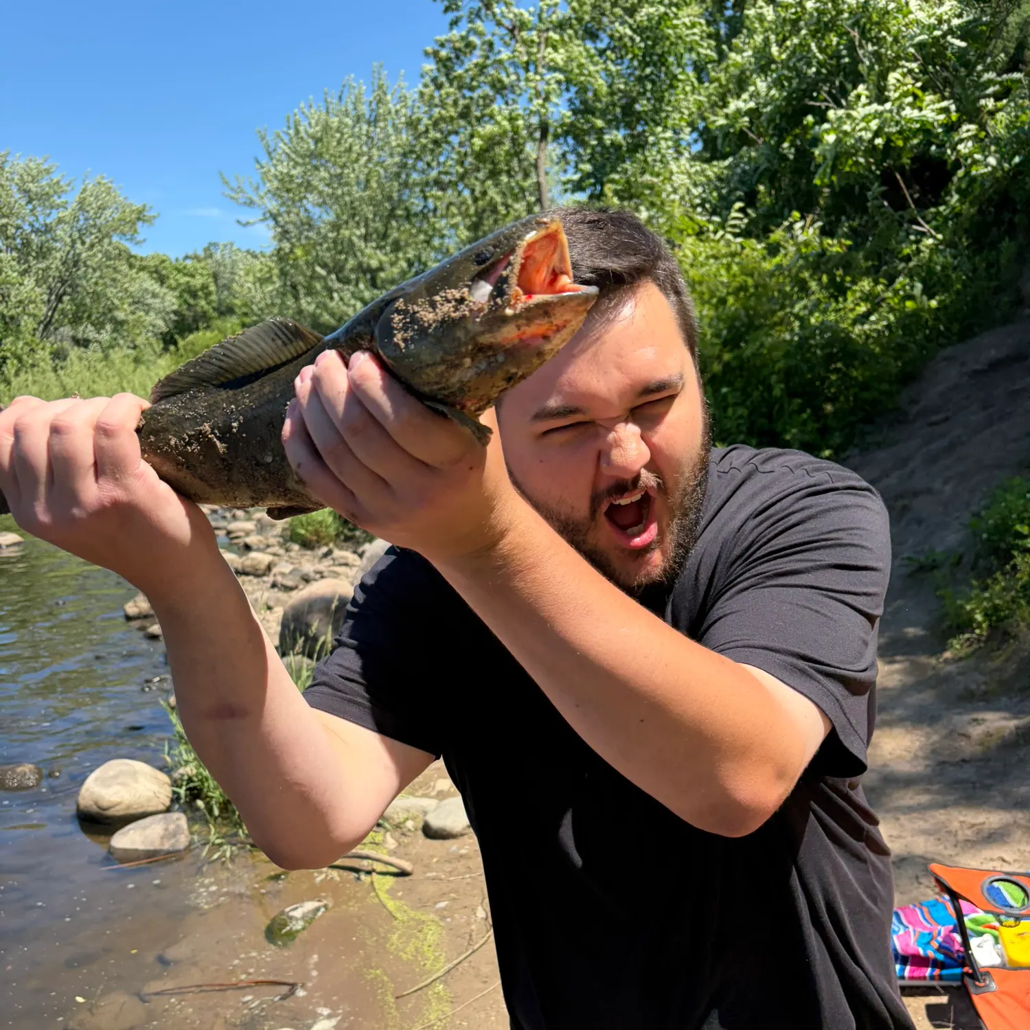 catch