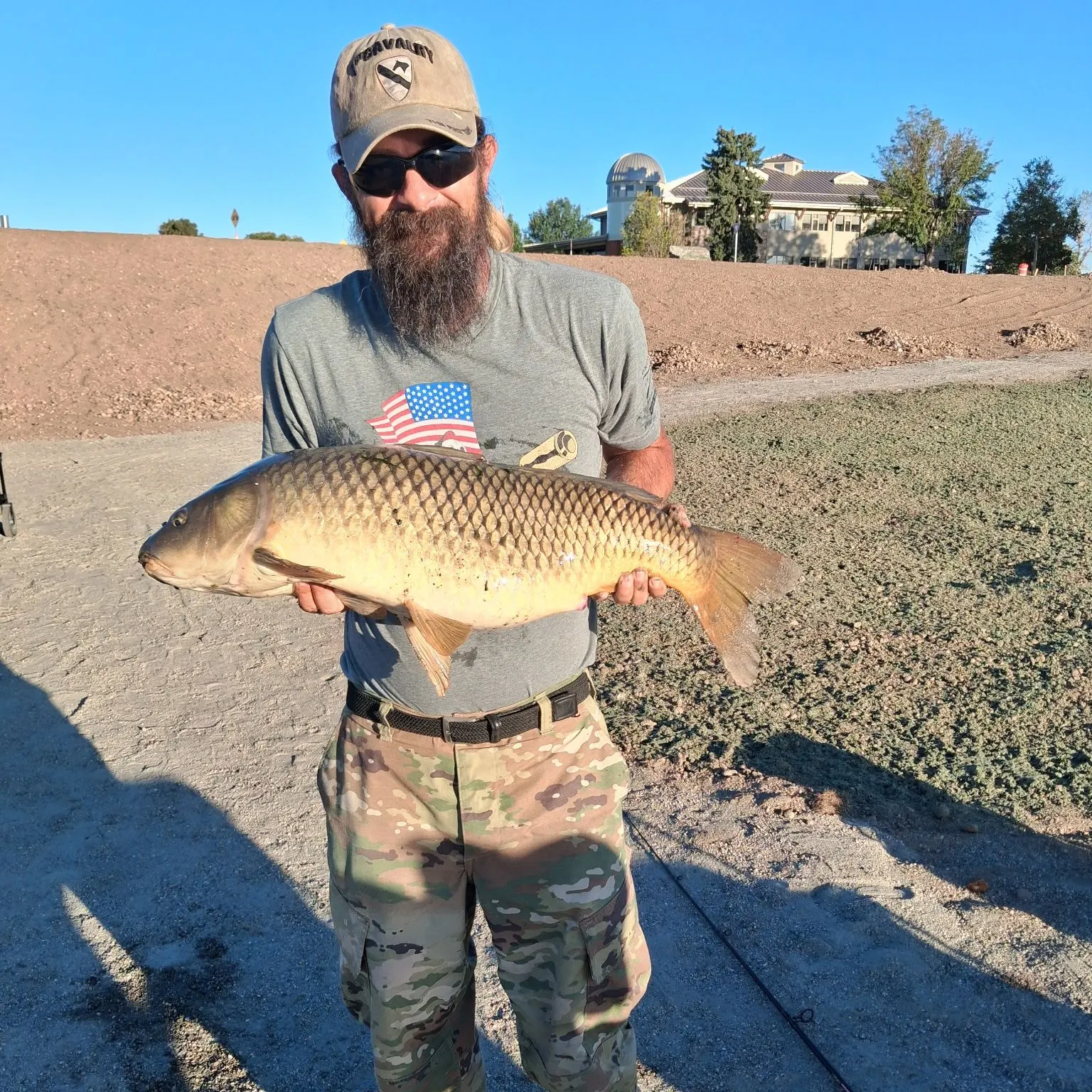 Common carp caught on Fishbrain