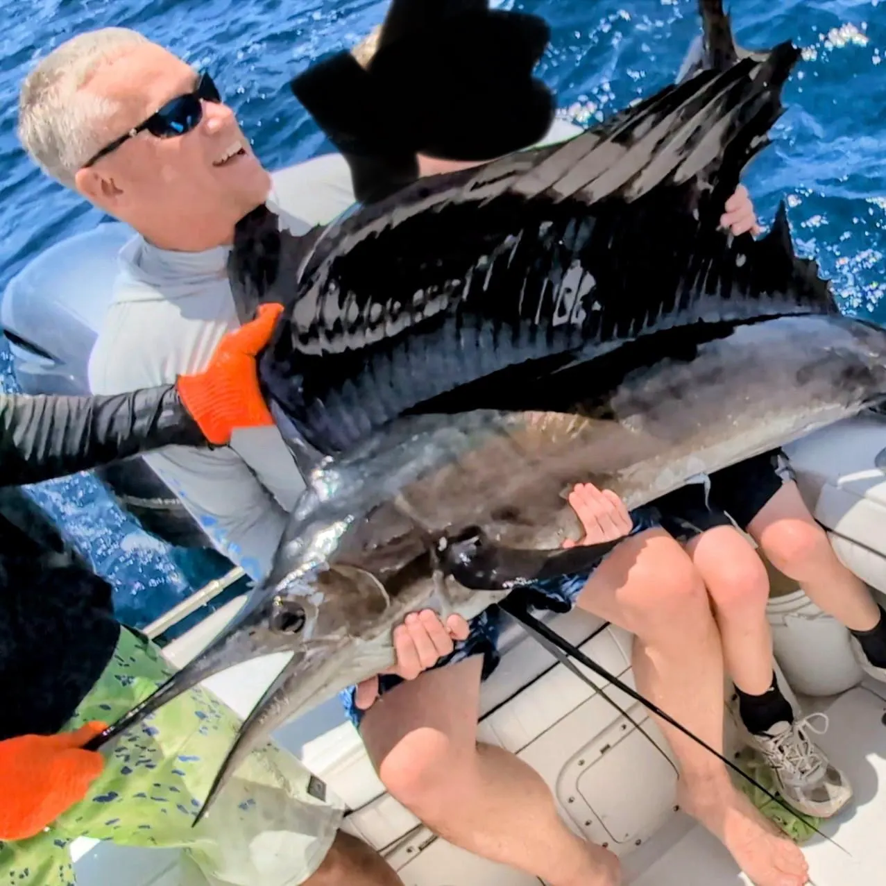 The most recent Indo-Pacific sailfish catches on Fishbrain