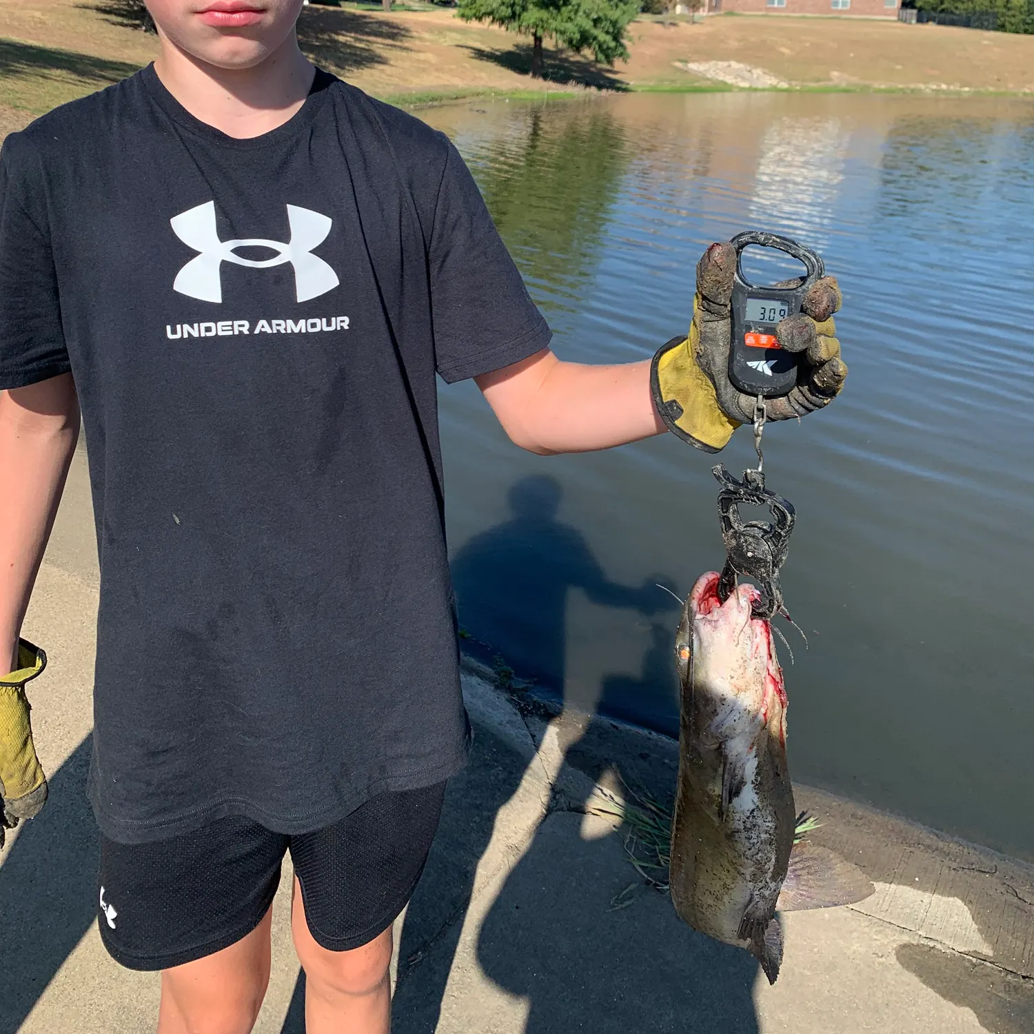 Channel catfish caught on Fishbrain