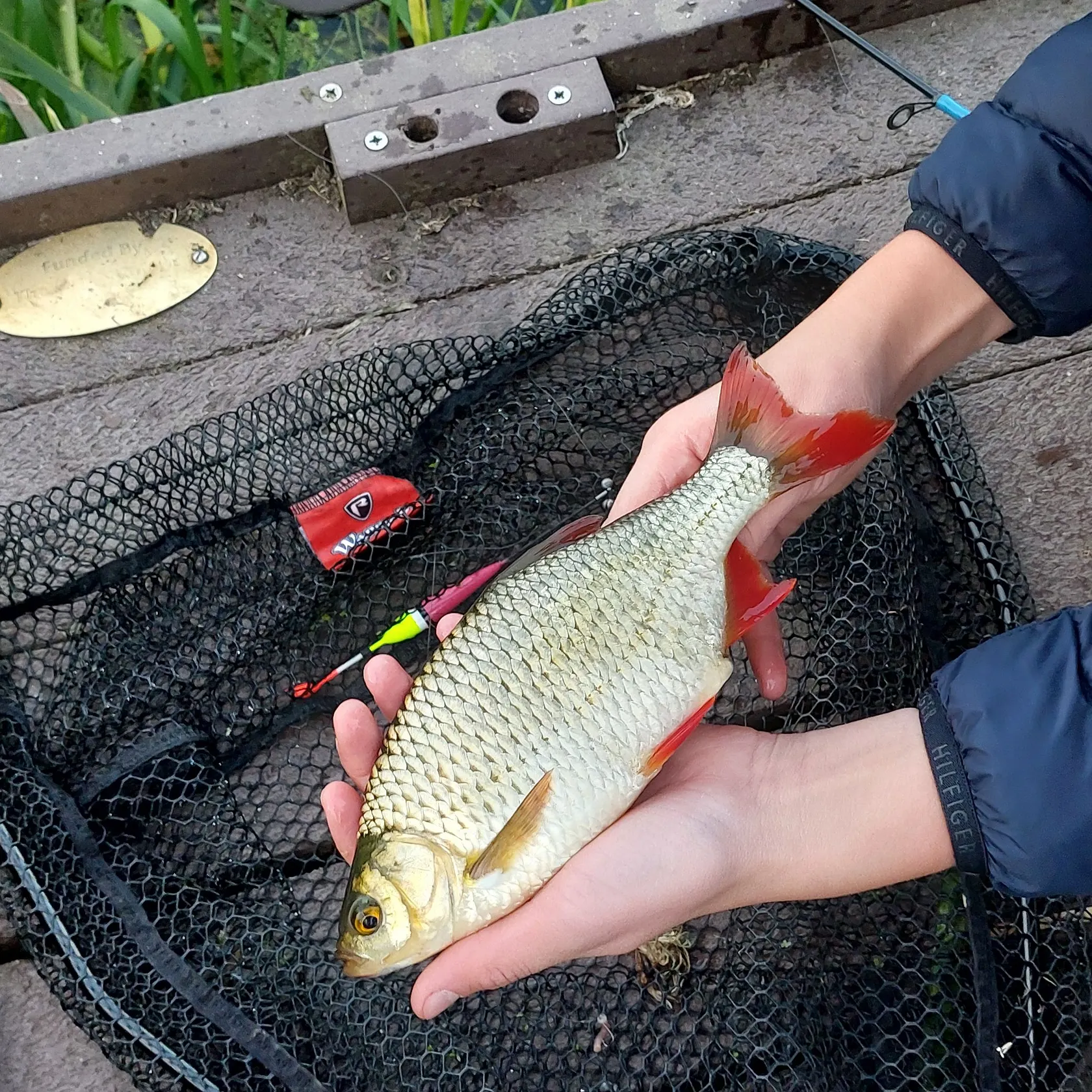 catch