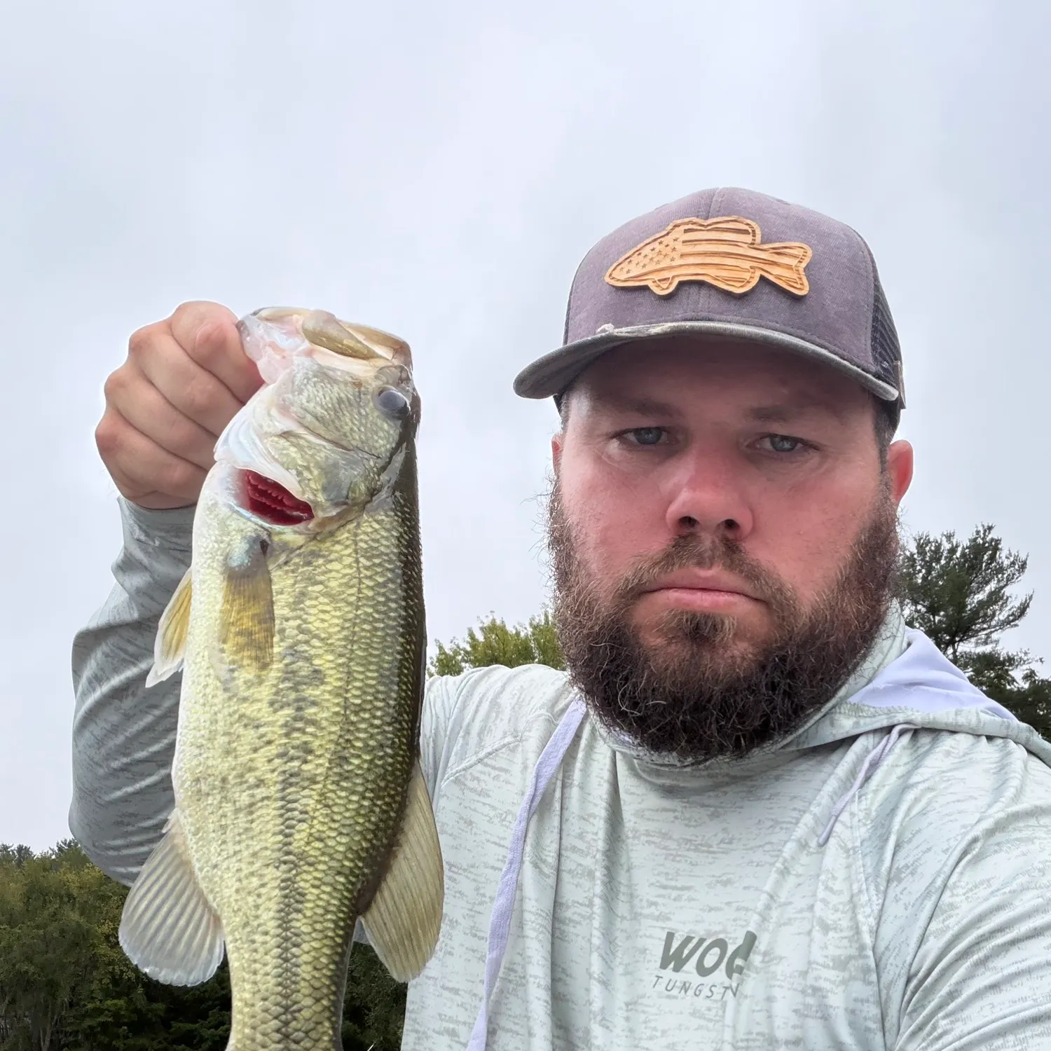 Largemouth bass caught on Fishbrain