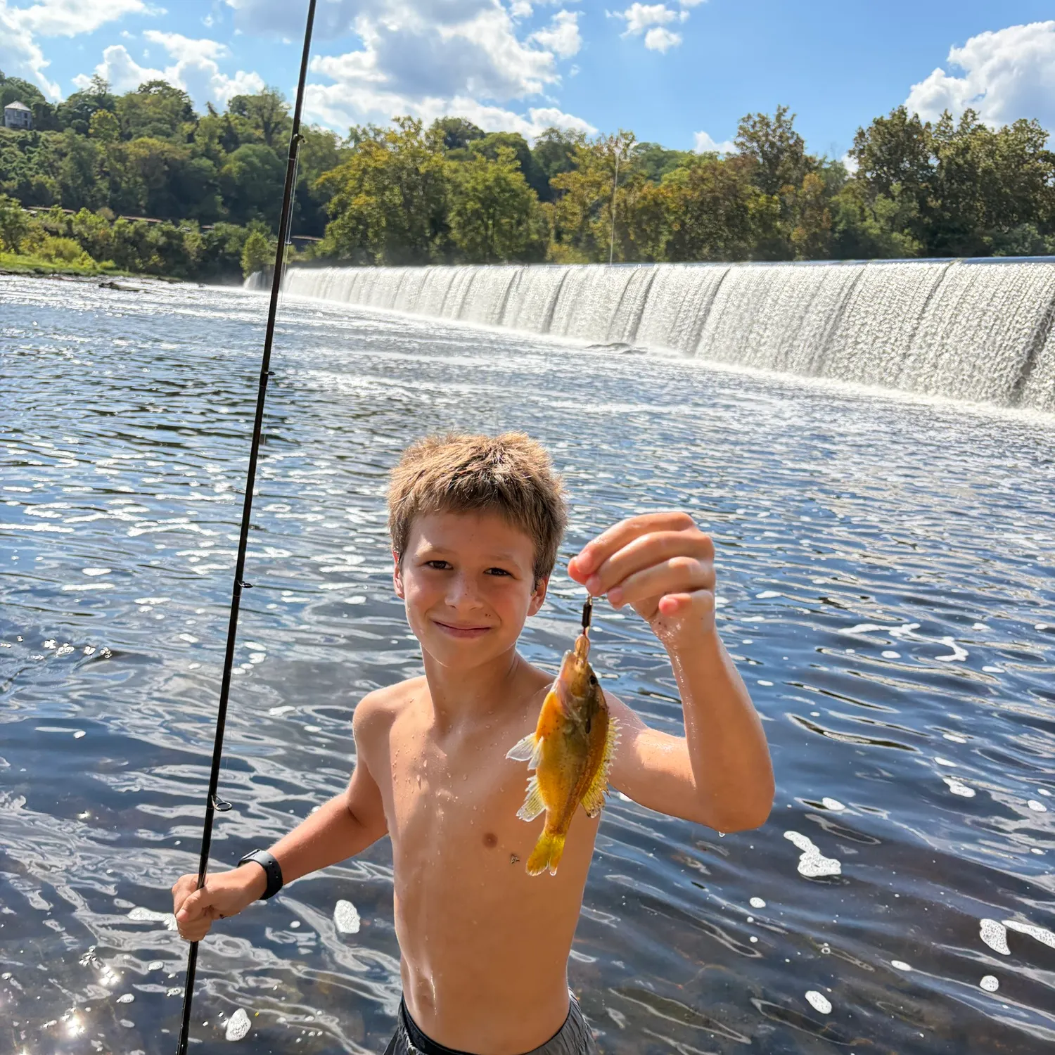 Bluegill caught on Fishbrain