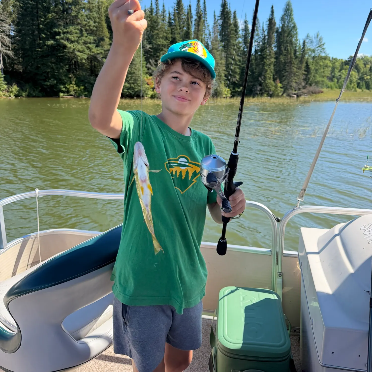Yellow perch caught on Fishbrain