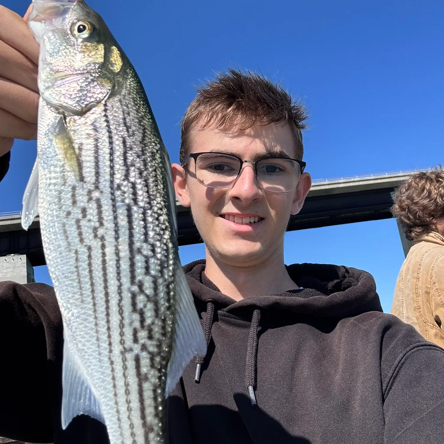 Striped bass caught on Fishbrain