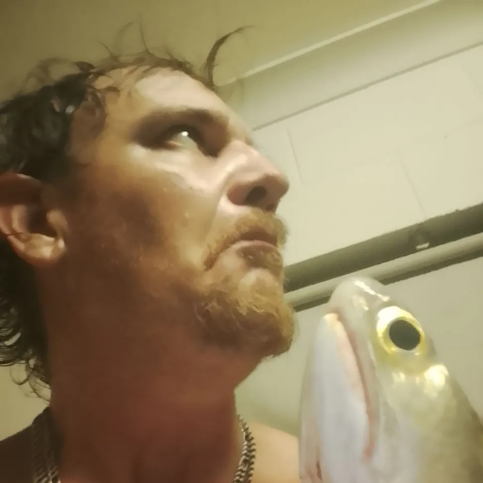 The most recent Fourfinger threadfin catches on Fishbrain