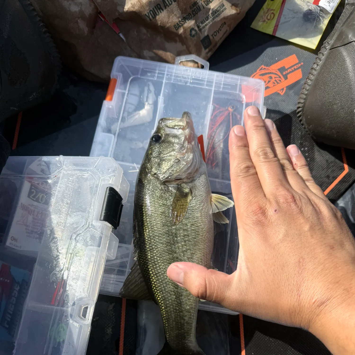 catch